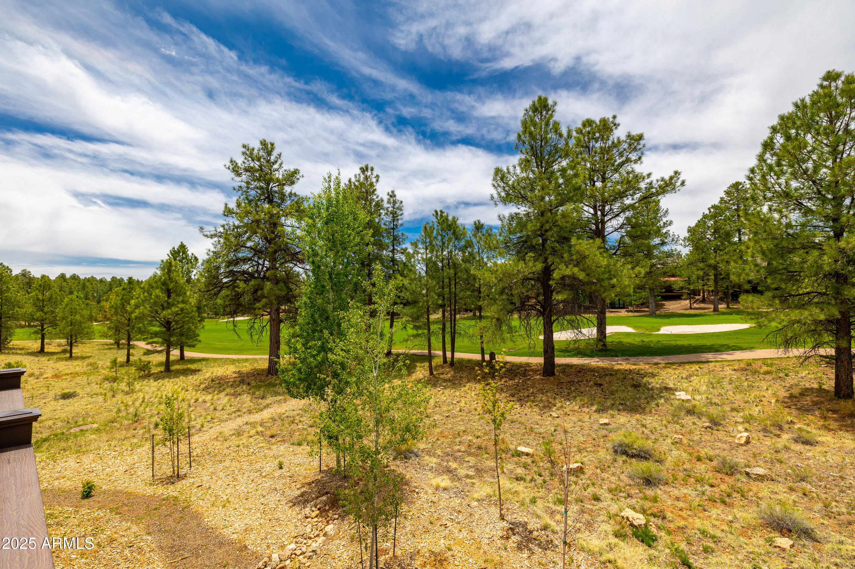 Pine Canyon - Residential