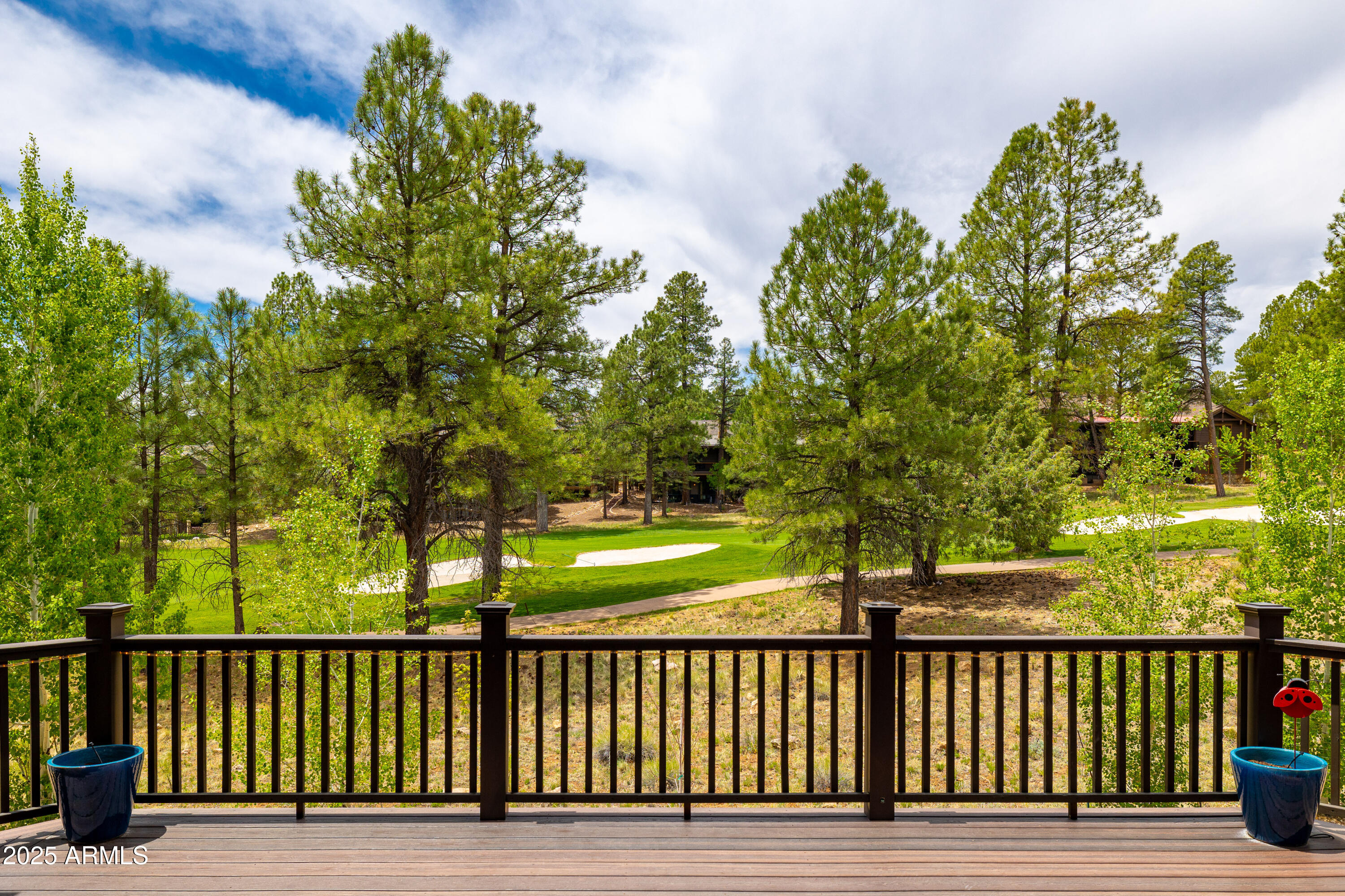 Pine Canyon - Residential