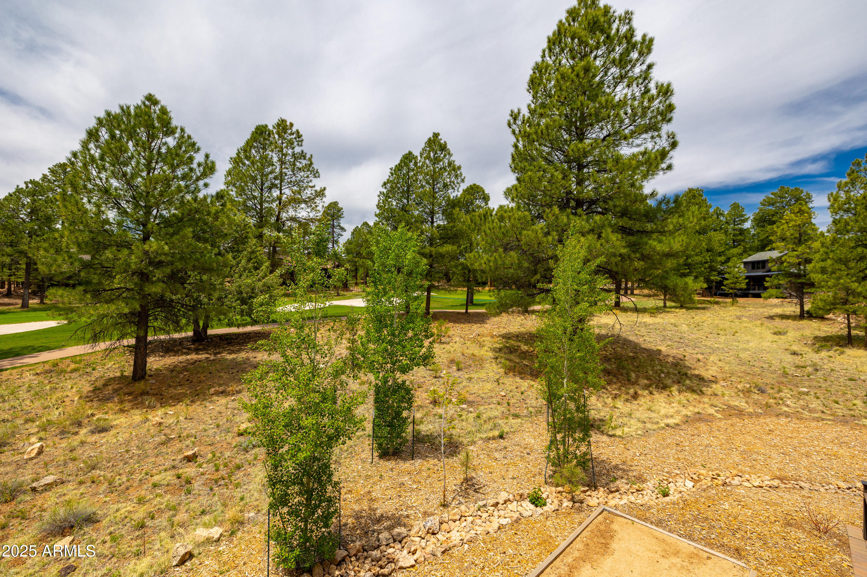 Pine Canyon - Residential