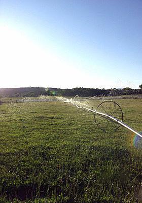 5 Acres or More - Residential