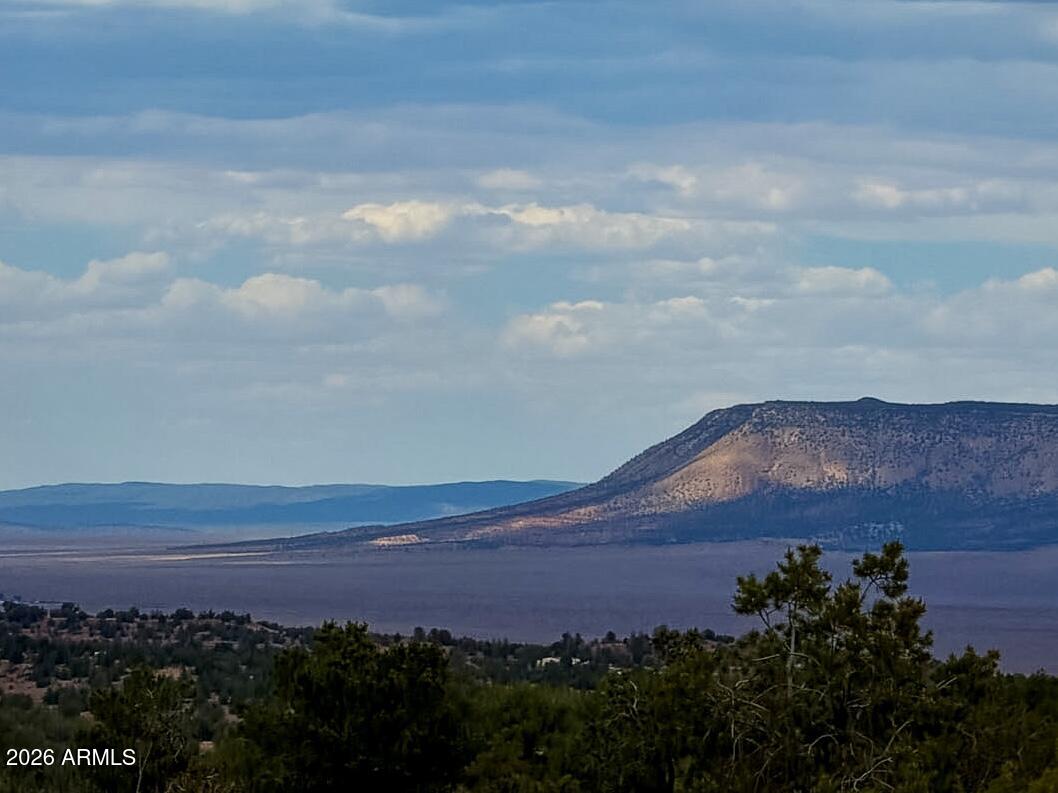 Bridge Canyon Country Estates - Land