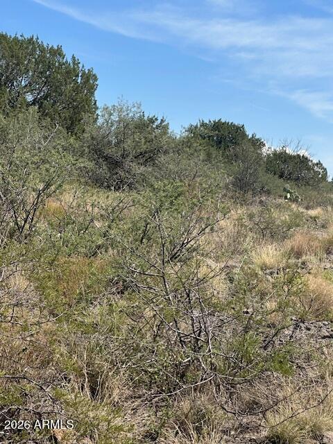 BENSCH RANCH UNIT 1 - Land