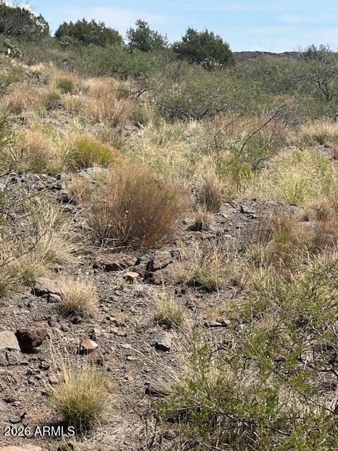 BENSCH RANCH UNIT 1 - Land
