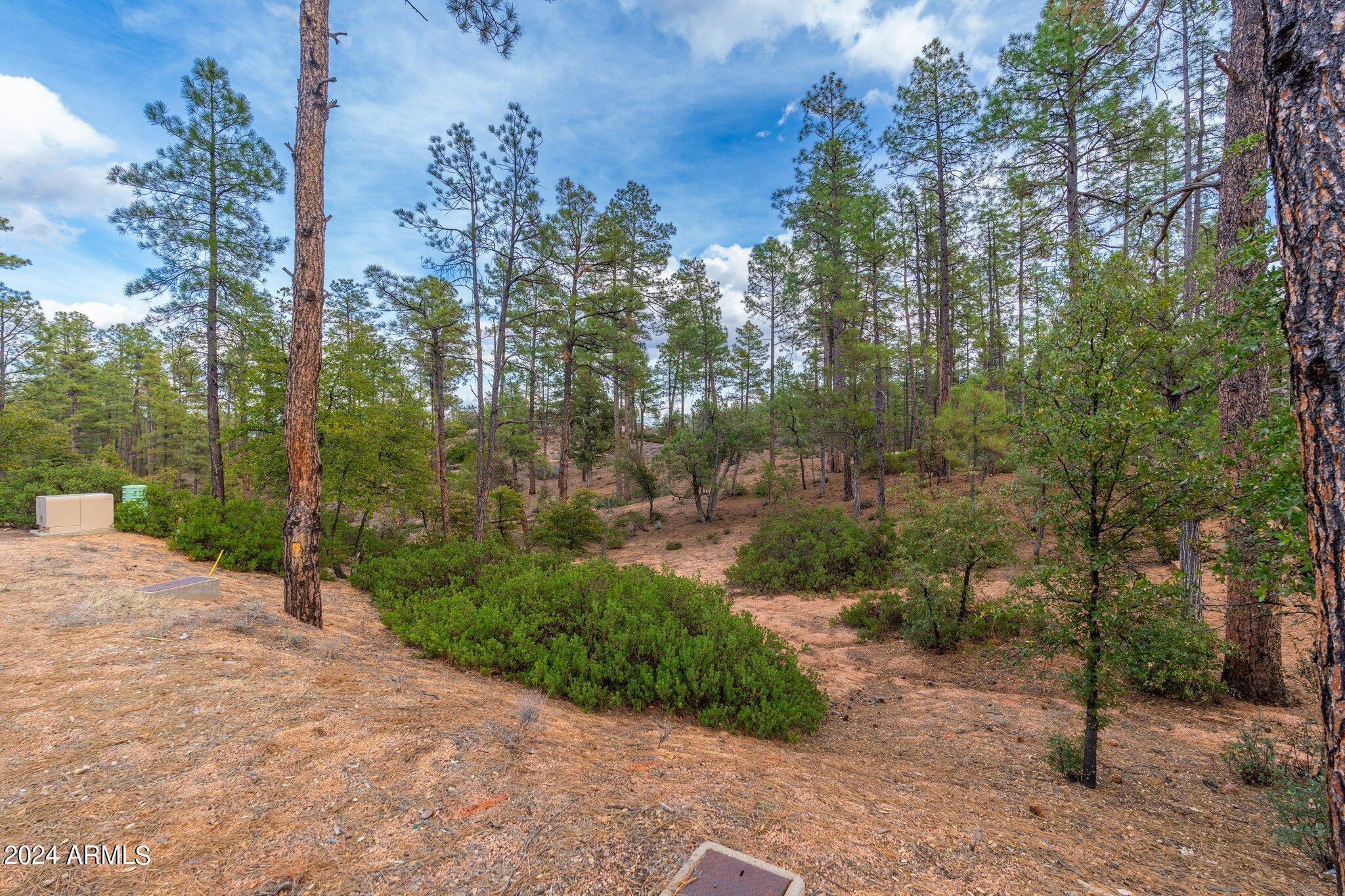 RIM GOLF CLUB PHASE 2 - Land