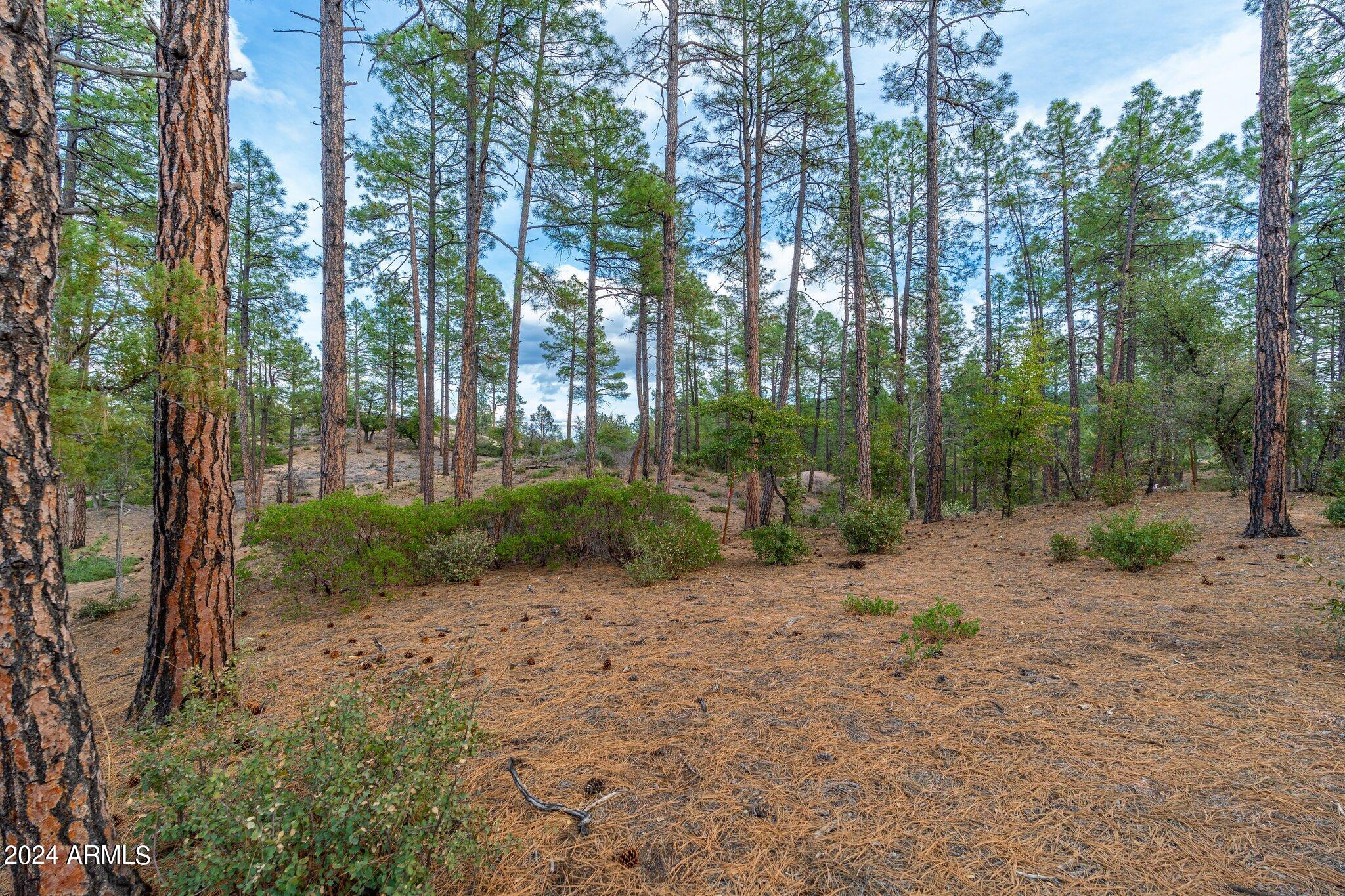 RIM GOLF CLUB PHASE 2 - Land