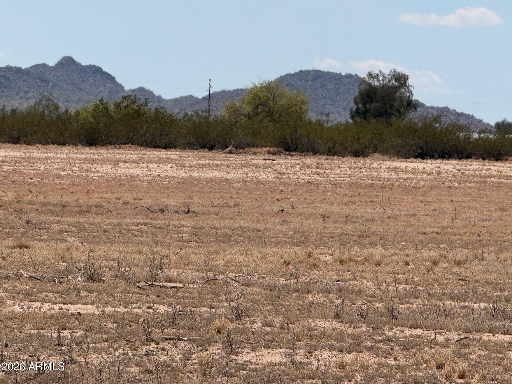 DICK WICK HALL RANCHOS OF SALOME - Land