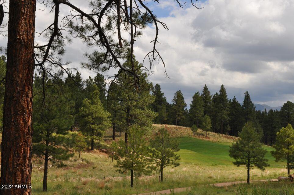 PINE CANYON - Residential