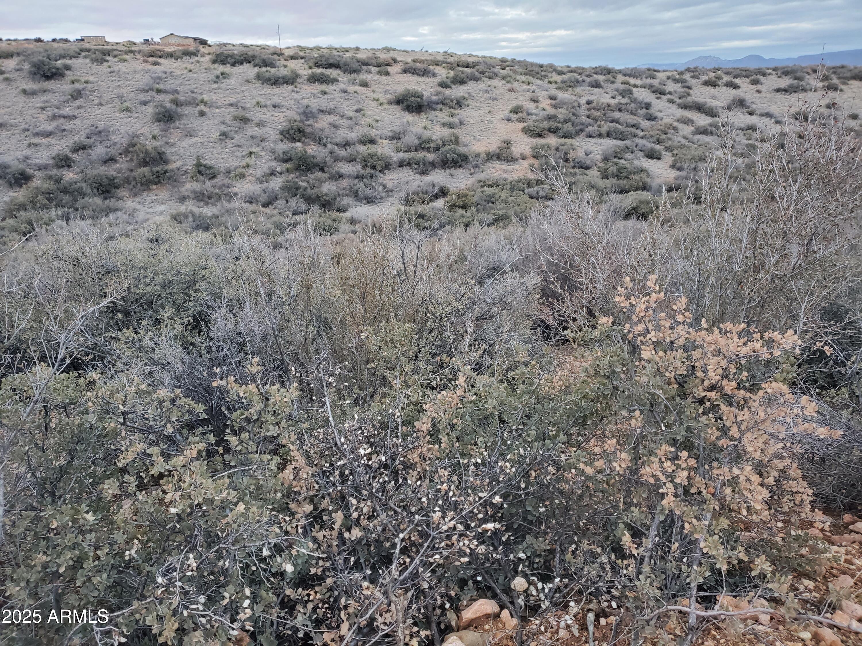 BLUE HILLS FARM - Land