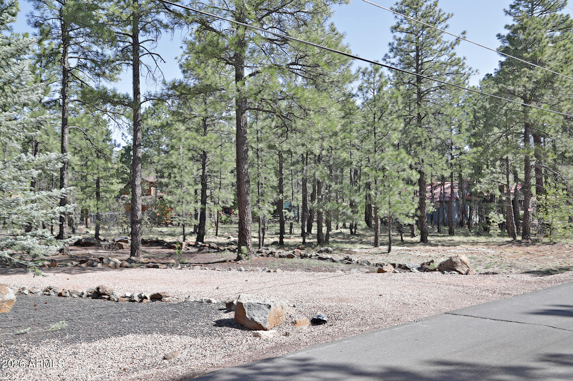 Pinetop Country Club 2 - Land