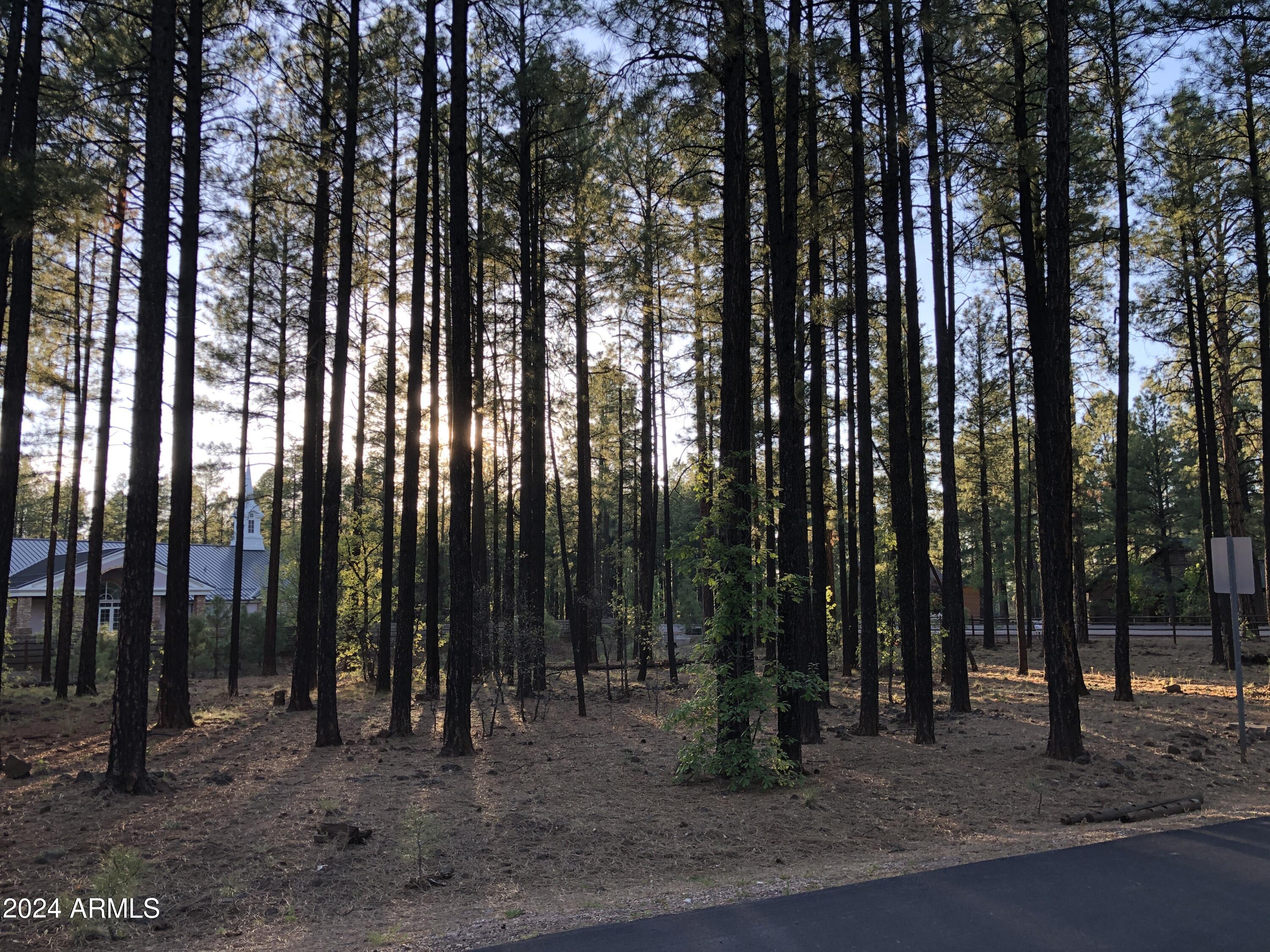 SEWER at property! Water, electric and gas also at property. Wonderful flat, treed lot zoned for single family home OR DUPLEX. Builder/investor maximize your profit! Great quiet community of Bear Run. Tall pine trees. Low HOA! The lot next door is also available: 2522 TIMBER RIDGE LN.