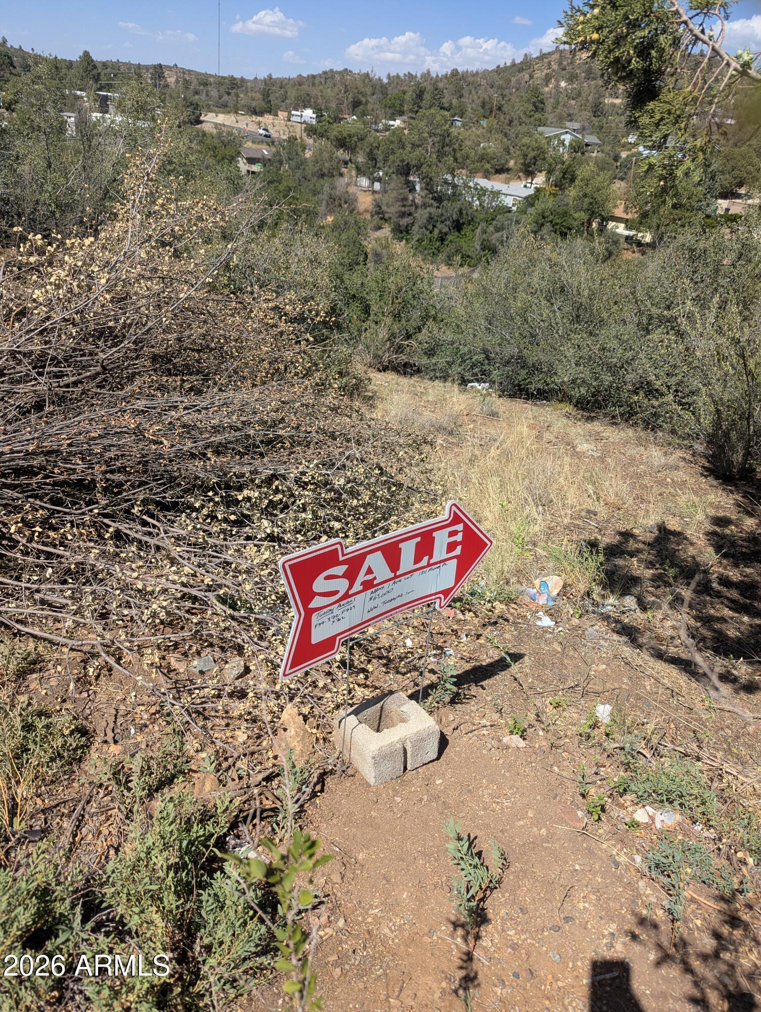 AUCTION ON TUESDAY AUGUST 11TH AT 1PM.  BUY IT BEFORE THE AUCTION.  $22,000 UNDER CITY TAX ASSESMENT.  Approx. 1 Acre  Lot with GREAT VIEWS.  Close to downtown Prescott.  Currently building new construction on same street.  Single Family / Multi Family.  PRICED TO SELL.  Auction instructions and deposit requirements.