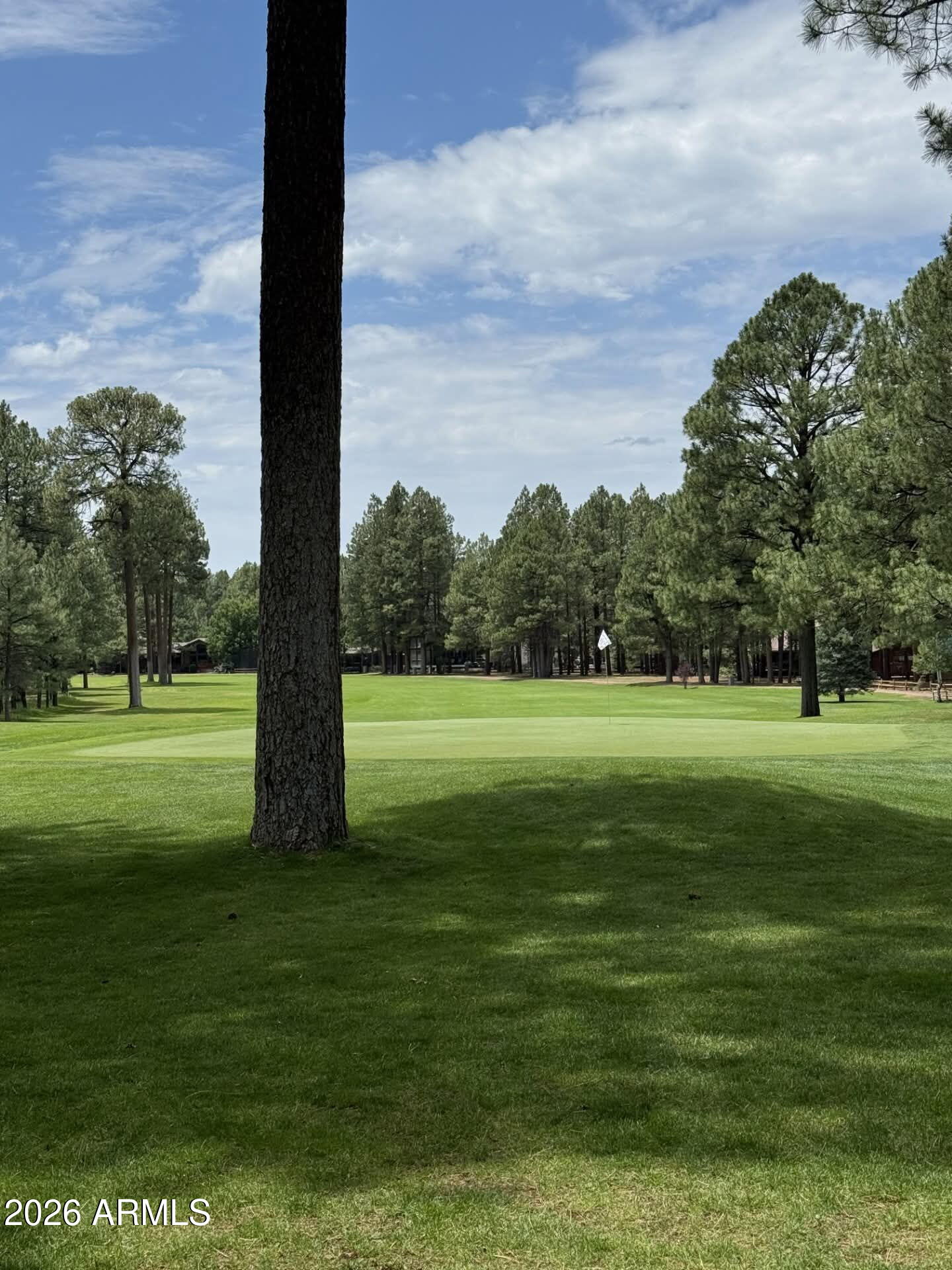 PINETOP LAKES COUNTRY CLUB UNIT 2 - Residential