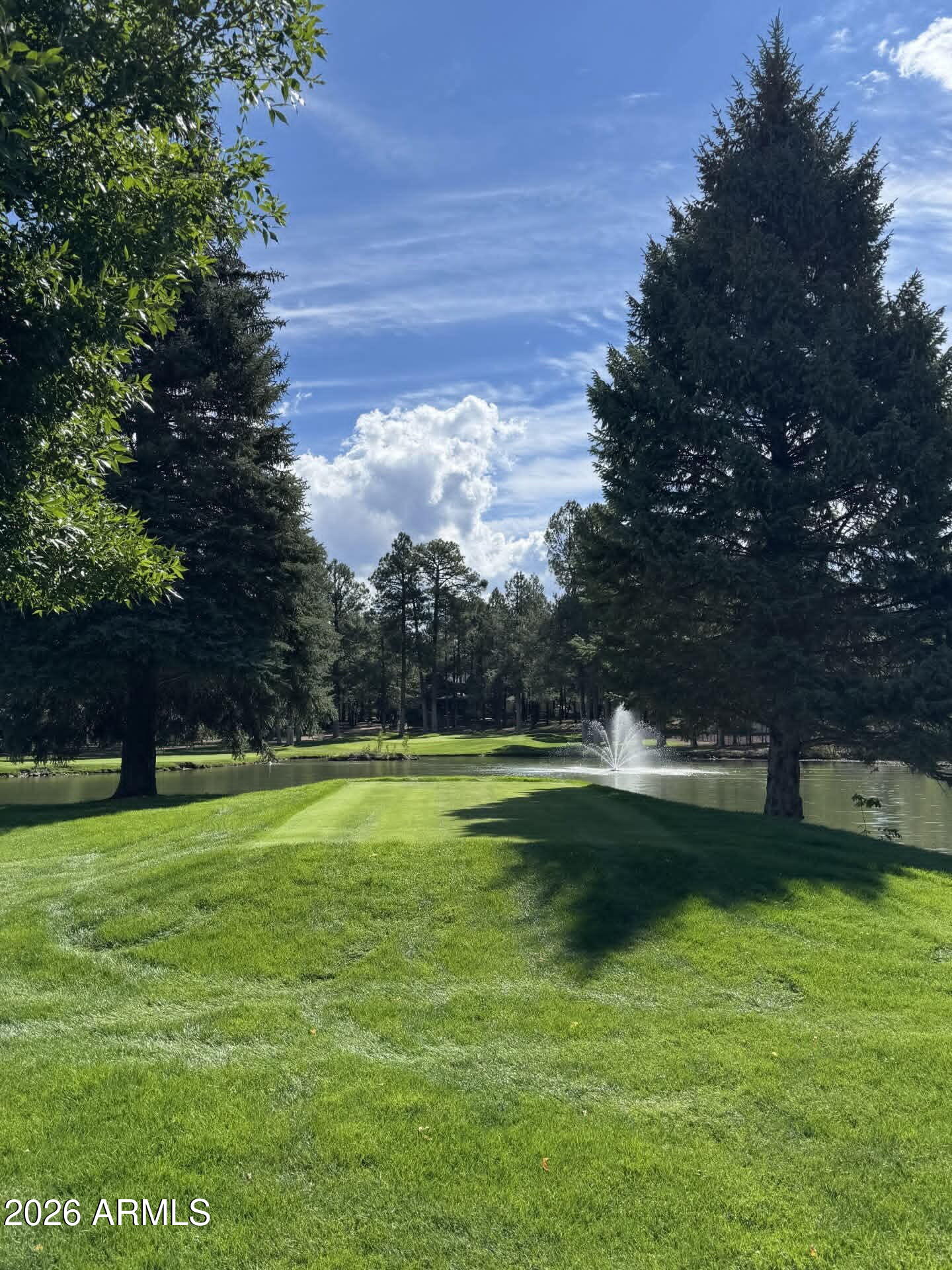 PINETOP LAKES COUNTRY CLUB UNIT 2 - Residential