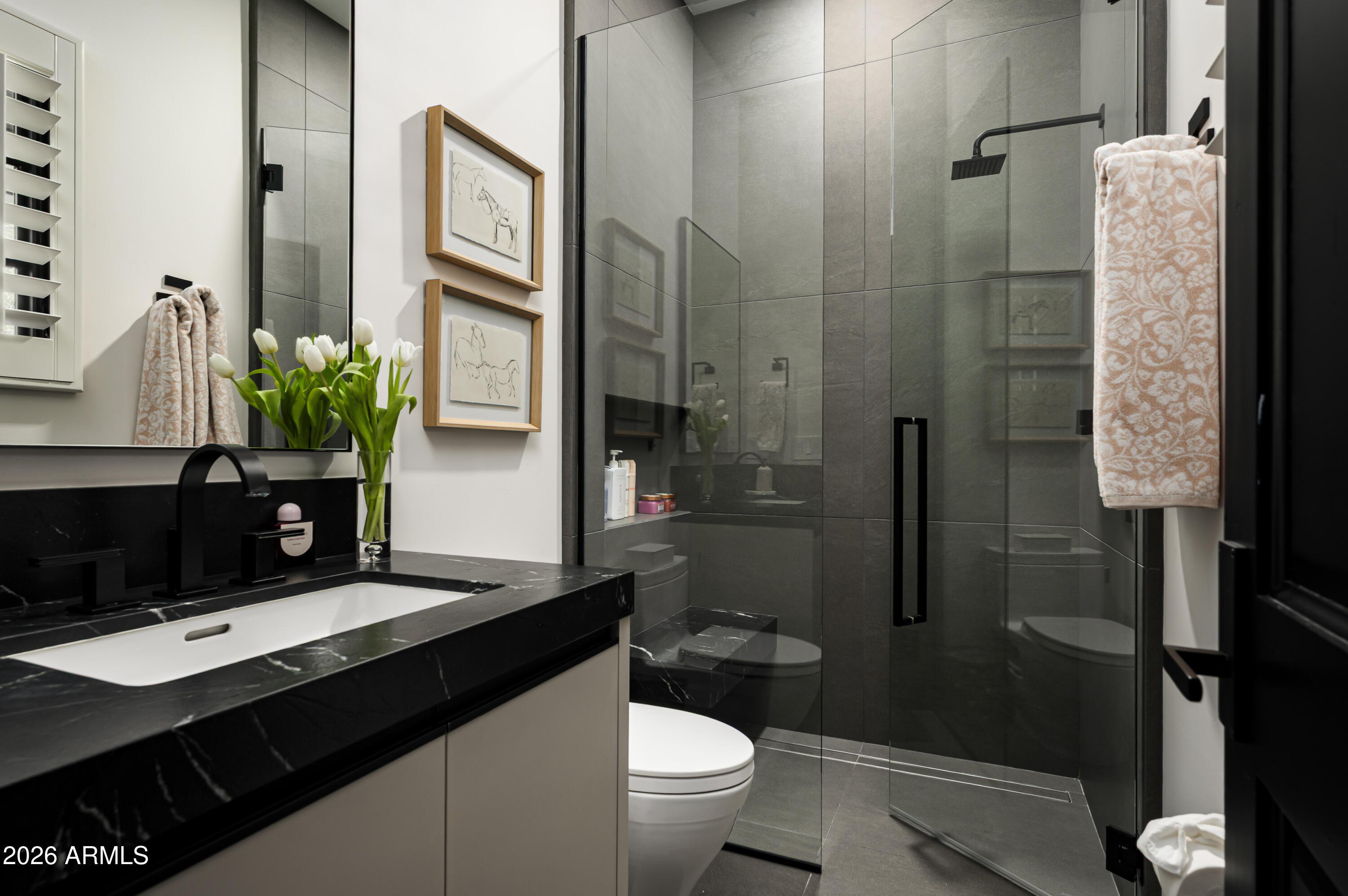 Silverleaf at DC Ranch - Residential