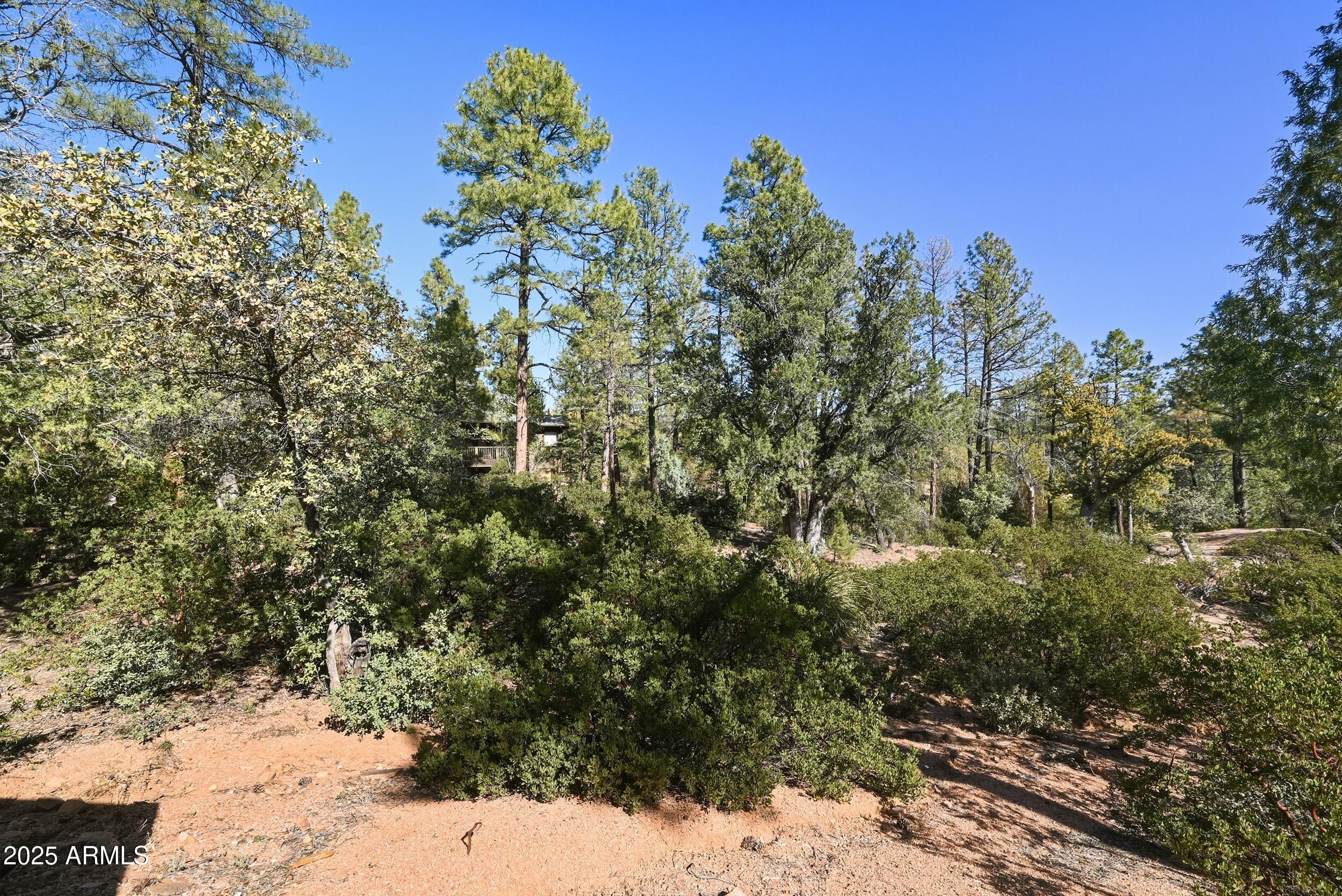 Sports Club Membership & one full year of dues included! Your Mountain Estate Awaits: Premier Home Site in The Rim Golf Club This is a rare opportunity to acquire a pristine, heavily wooded homesite within the private community, custom home enclave of The Rim Golf Club. Offering more than just a place to build, this lot provides entry into a privileged, four-season mountain lifestyle, mere moments from the Tom Weiskopf and Jay Morrish championship course. A Builders Canvas for Mountain Elegance. Located on the quiet, scenic Game Trail, this 0.39-acre parcel is perfectly situated for the discerning homeowner seeking both privacy and accessibility. Easy-Build Potential: The lot features a desirable, fairly level topography in a community where flat building sites are highly coveted. This simplifies construction logistics and allows for nice-sized single-level residence, maximizing effortless mountain living. Privacy & Seclusion: Tucked away on a street named for its natural tranquility, the property is heavily treed with towering Ponderosa Pines, offering a dense, private ambiance. Unique Natural Feature: A distinctive large boulder near the rear property line offers a unique focal point for a custom backyard patio or deck, seamlessly blending your design with the natural Rim Country landscape. The Rim Golf Club Lifestyle Ownership in this exclusive, gated community extends far beyond the boundaries of your lot. Consistently ranked among the best residential courses in Arizona, providing world-class amenities and a refined social calendar. Membership Amenities  Championship Golf: Year-round access to the award-winning 18-hole course.
