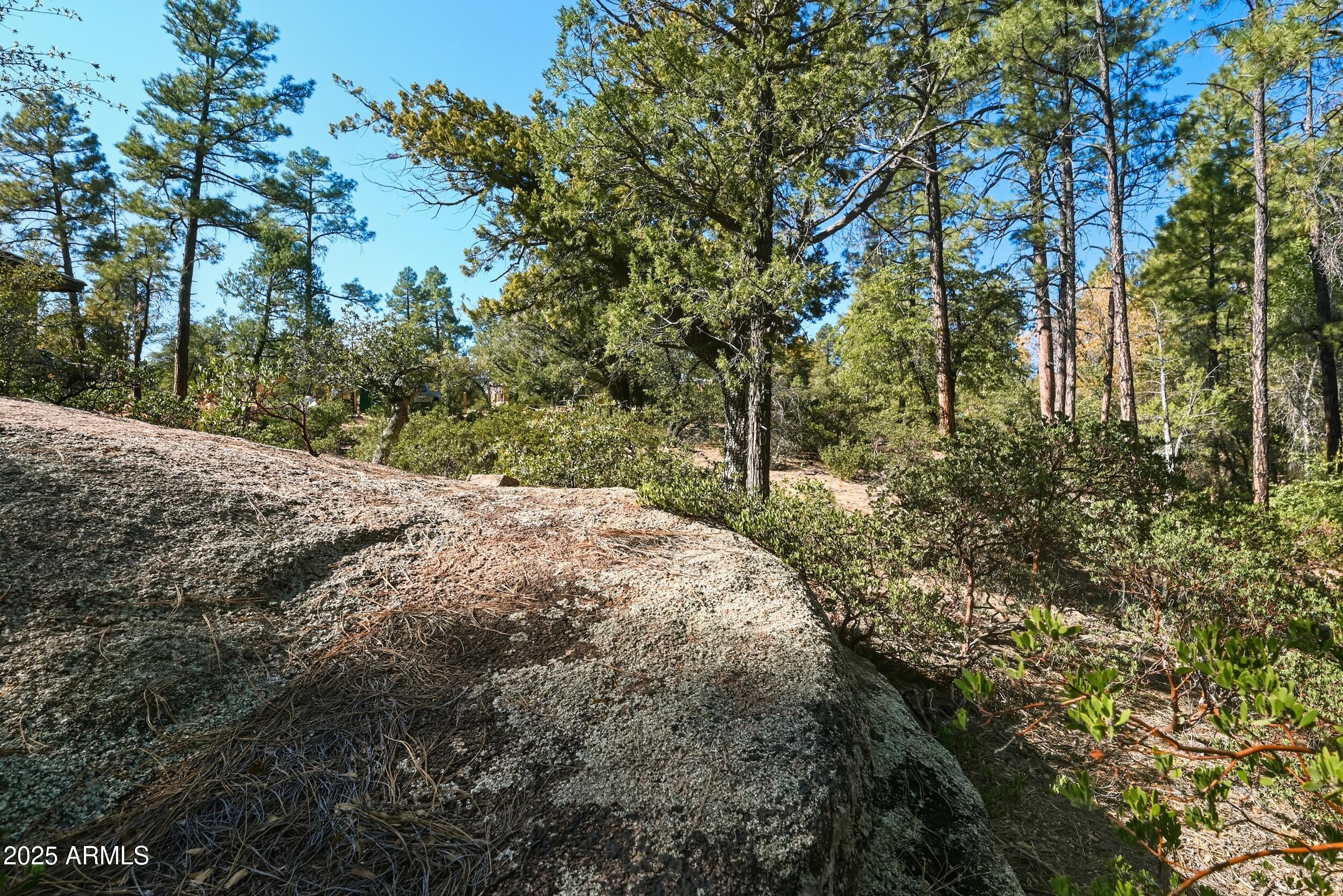 Rim Club The 1 & 2 - Land