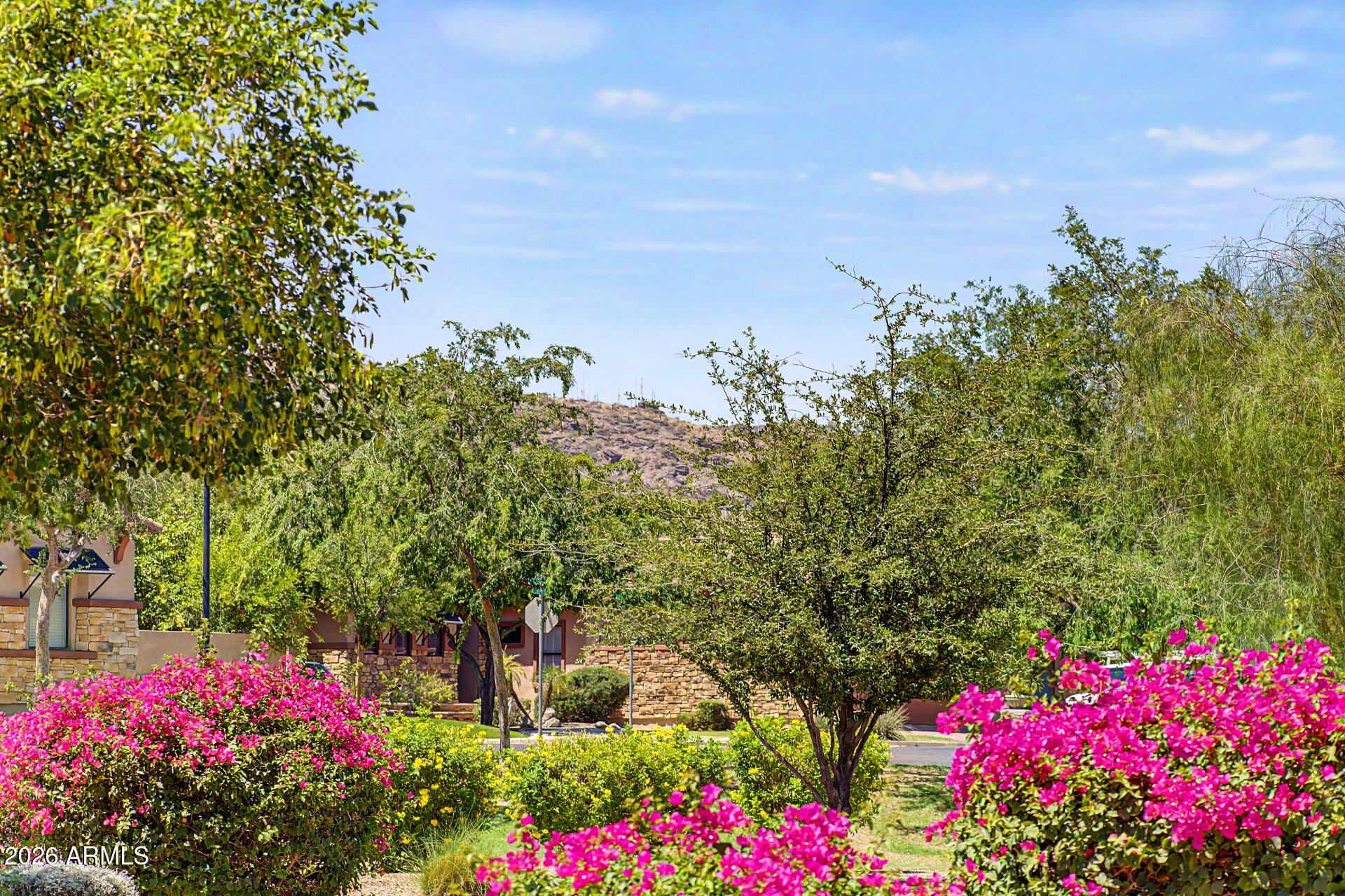 VILLAGE AT SOUTH MOUNTAIN - Residential