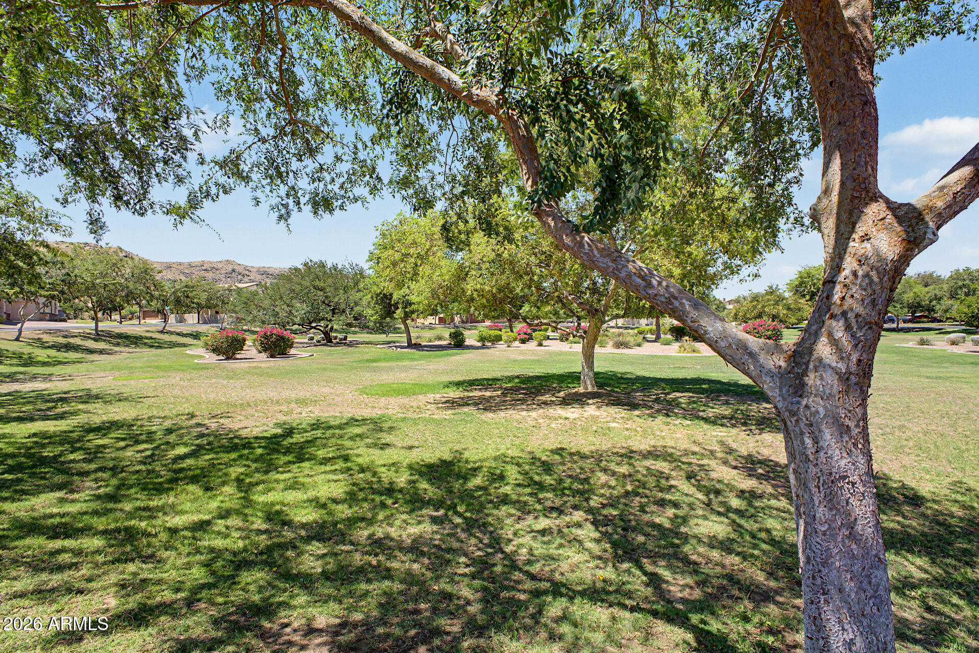 VILLAGE AT SOUTH MOUNTAIN - Residential