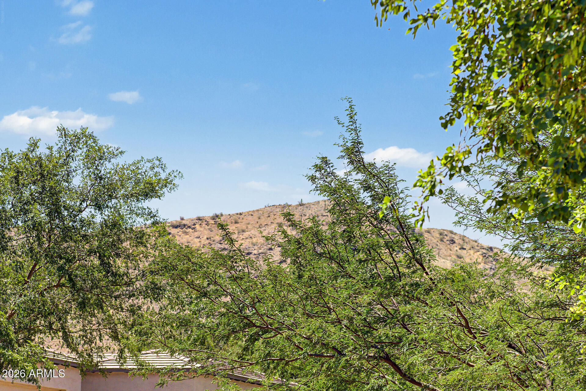 VILLAGE AT SOUTH MOUNTAIN - Residential