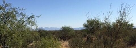 THE SAN IGNACIO BABOCOMARI LAND GRANT - Land