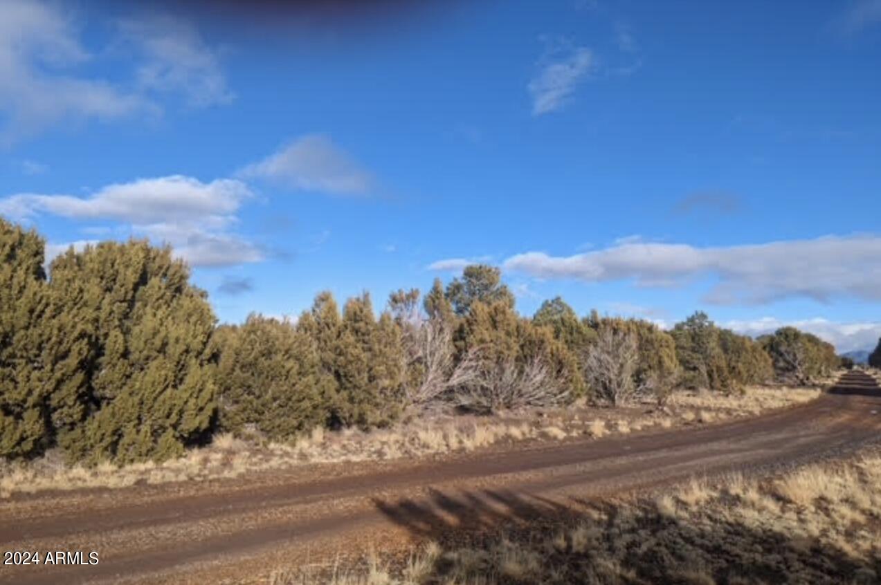 APACHE WOODLAND ESTATES - Land