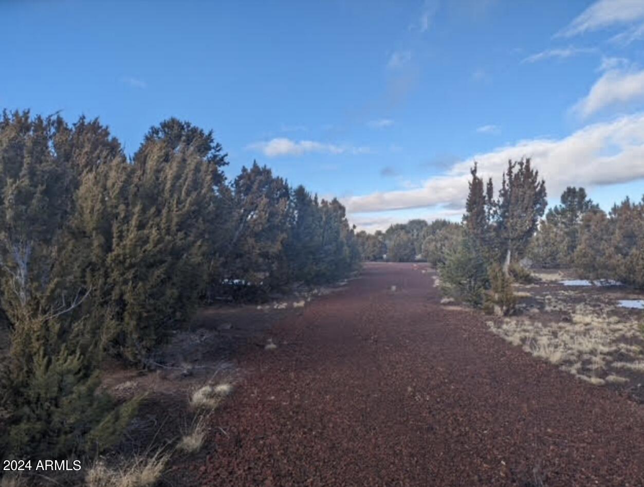 APACHE WOODLAND ESTATES - Land