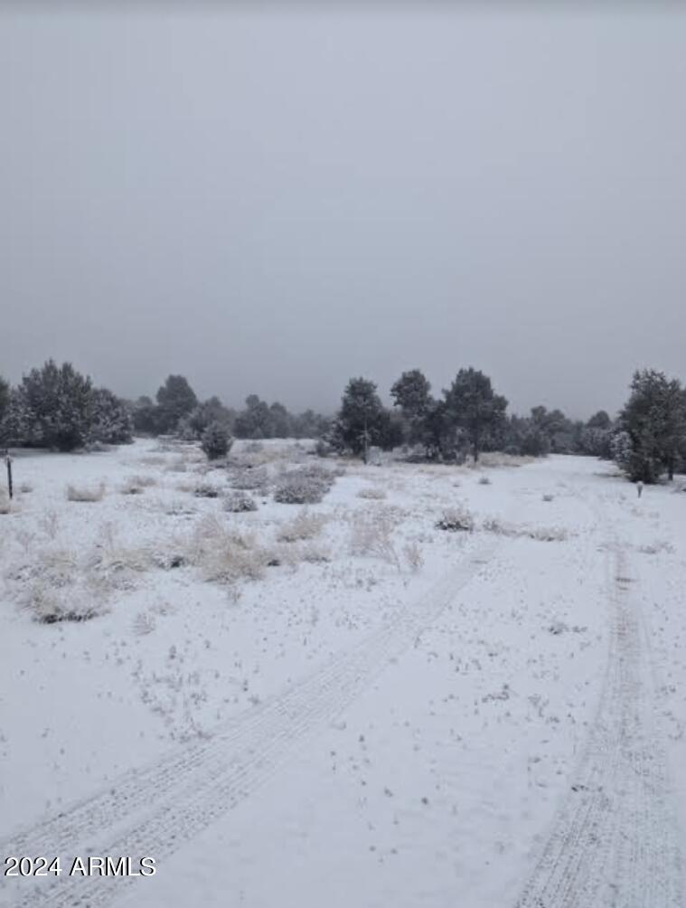 APACHE WOODLAND ESTATES - Land