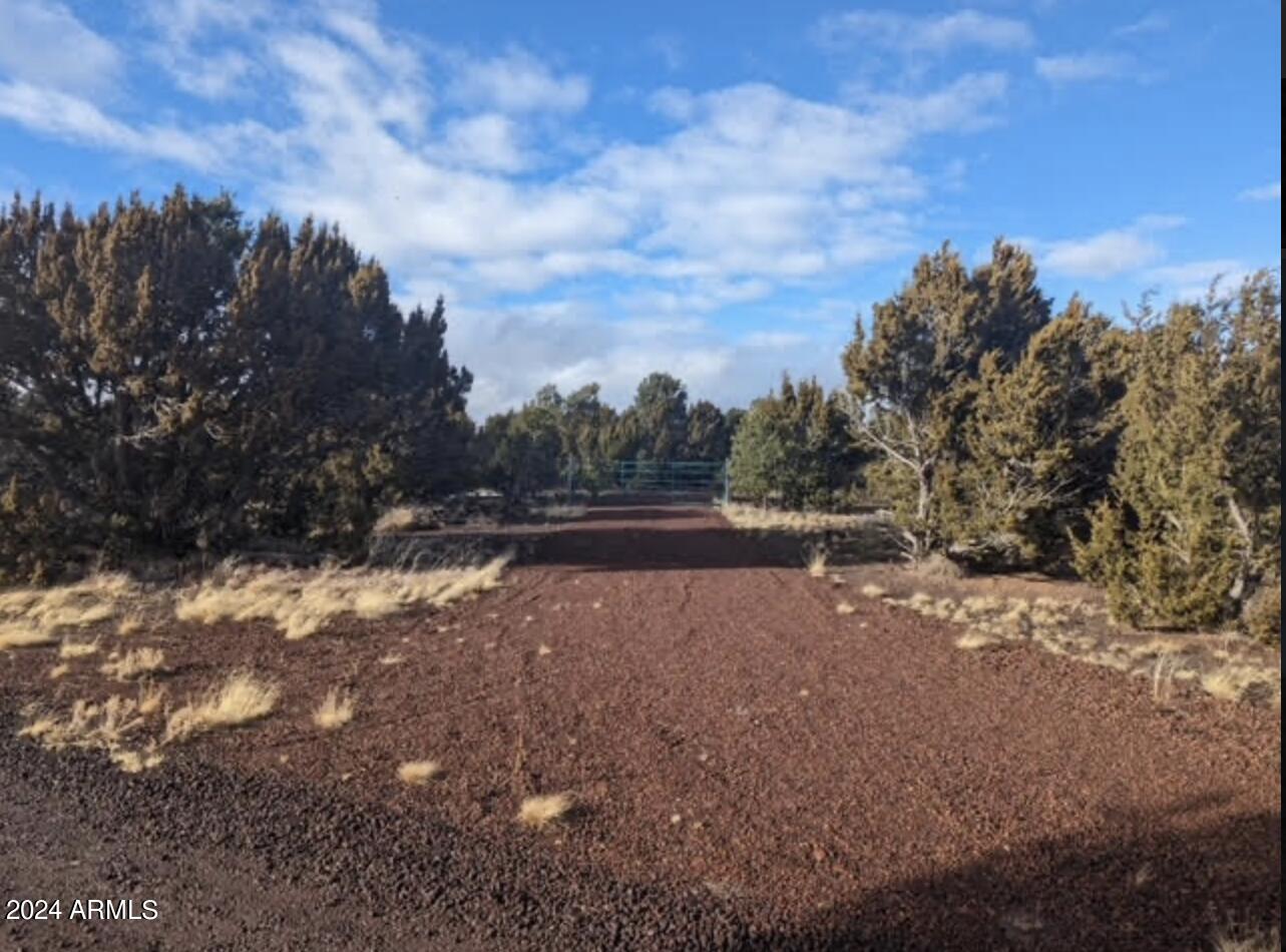 APACHE WOODLAND ESTATES - Land