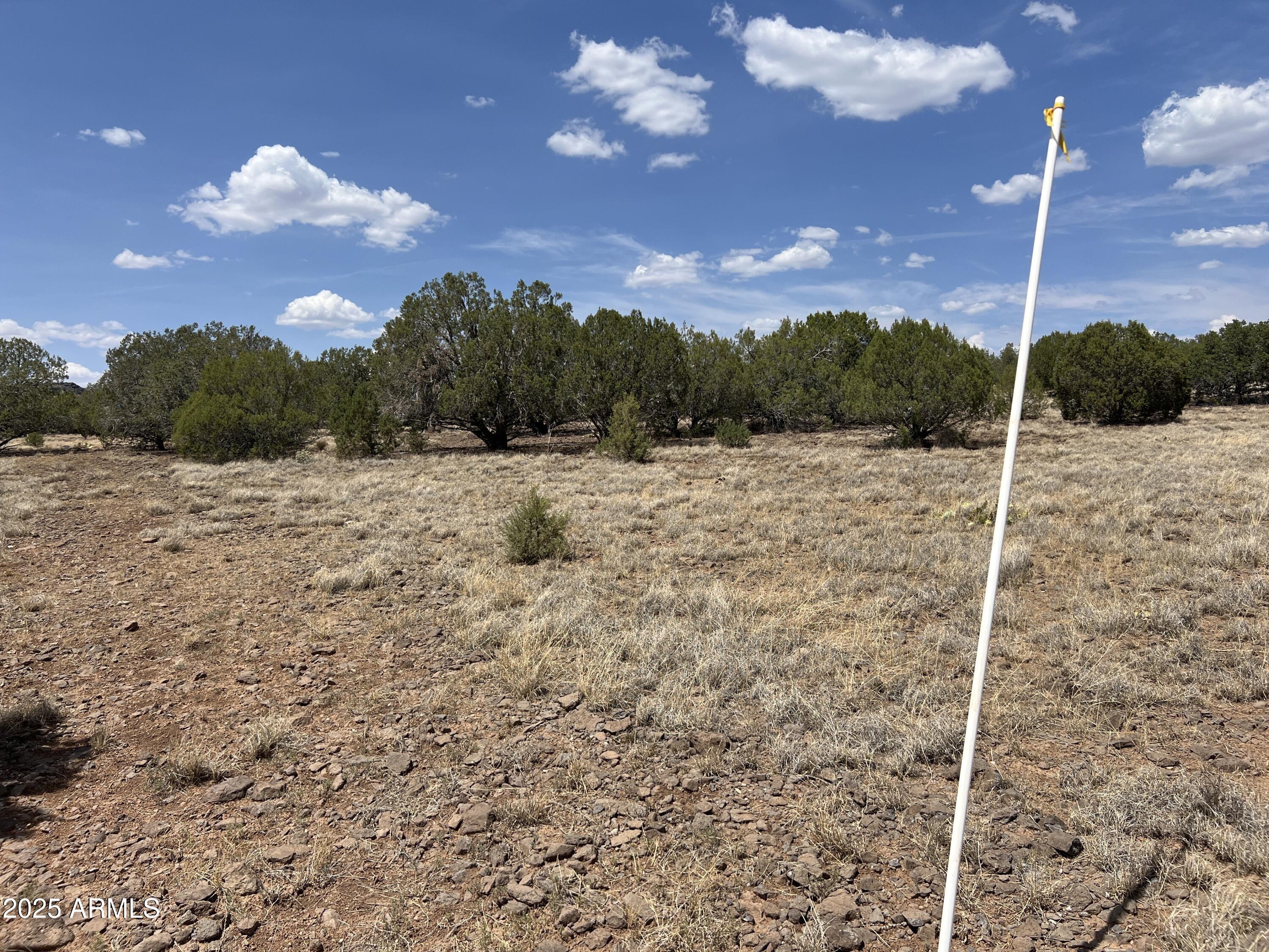 AZ JUNIPERWOOD RANCH UNIT 6 - Land