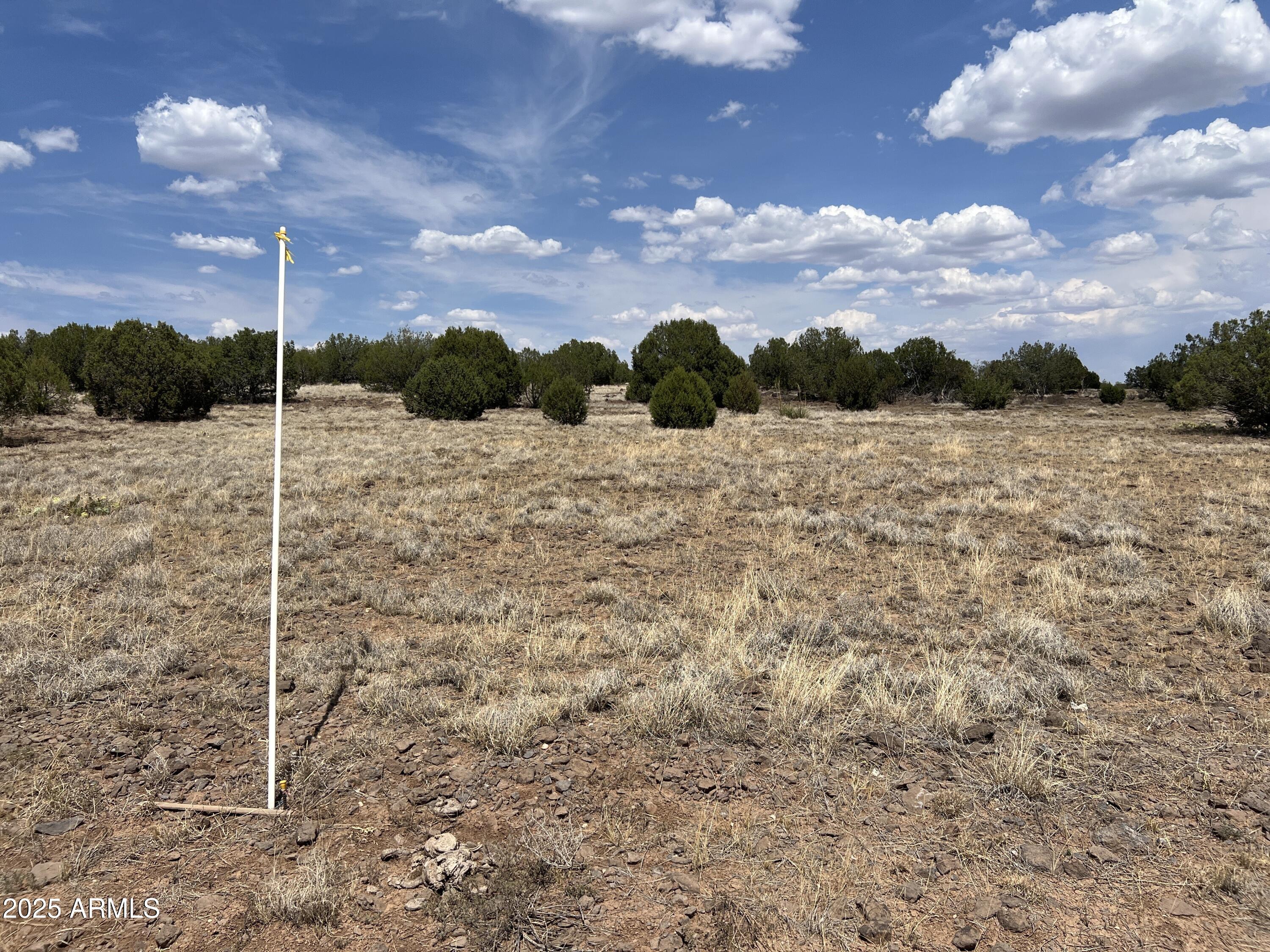 AZ JUNIPERWOOD RANCH UNIT 6 - Land