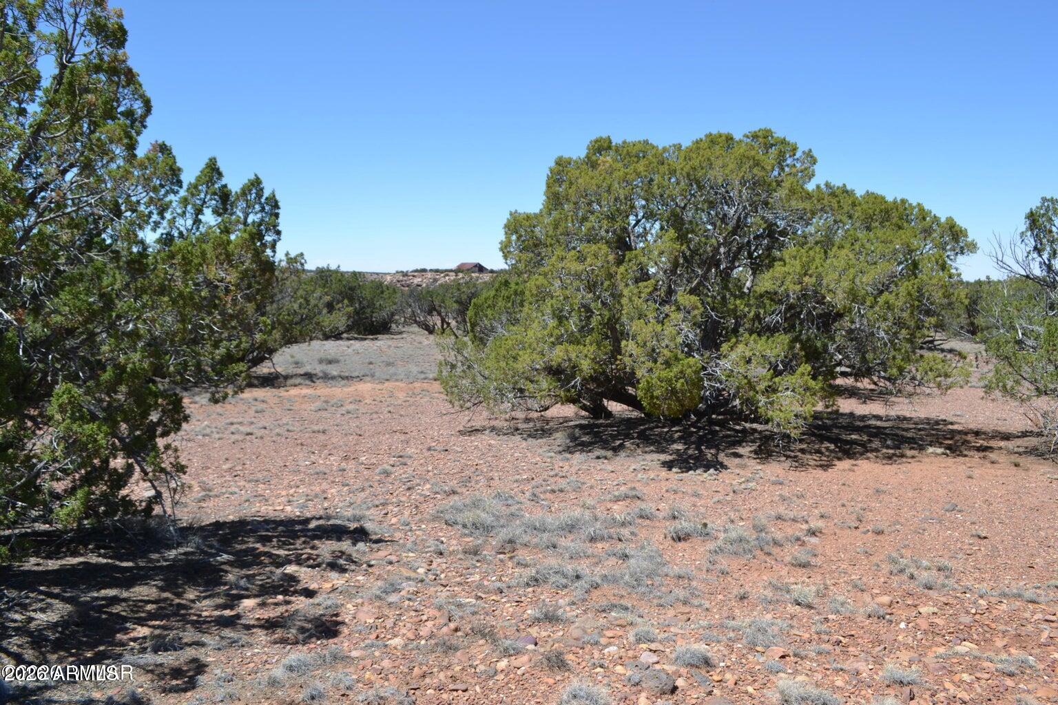 LAST MESA RANCH - Land