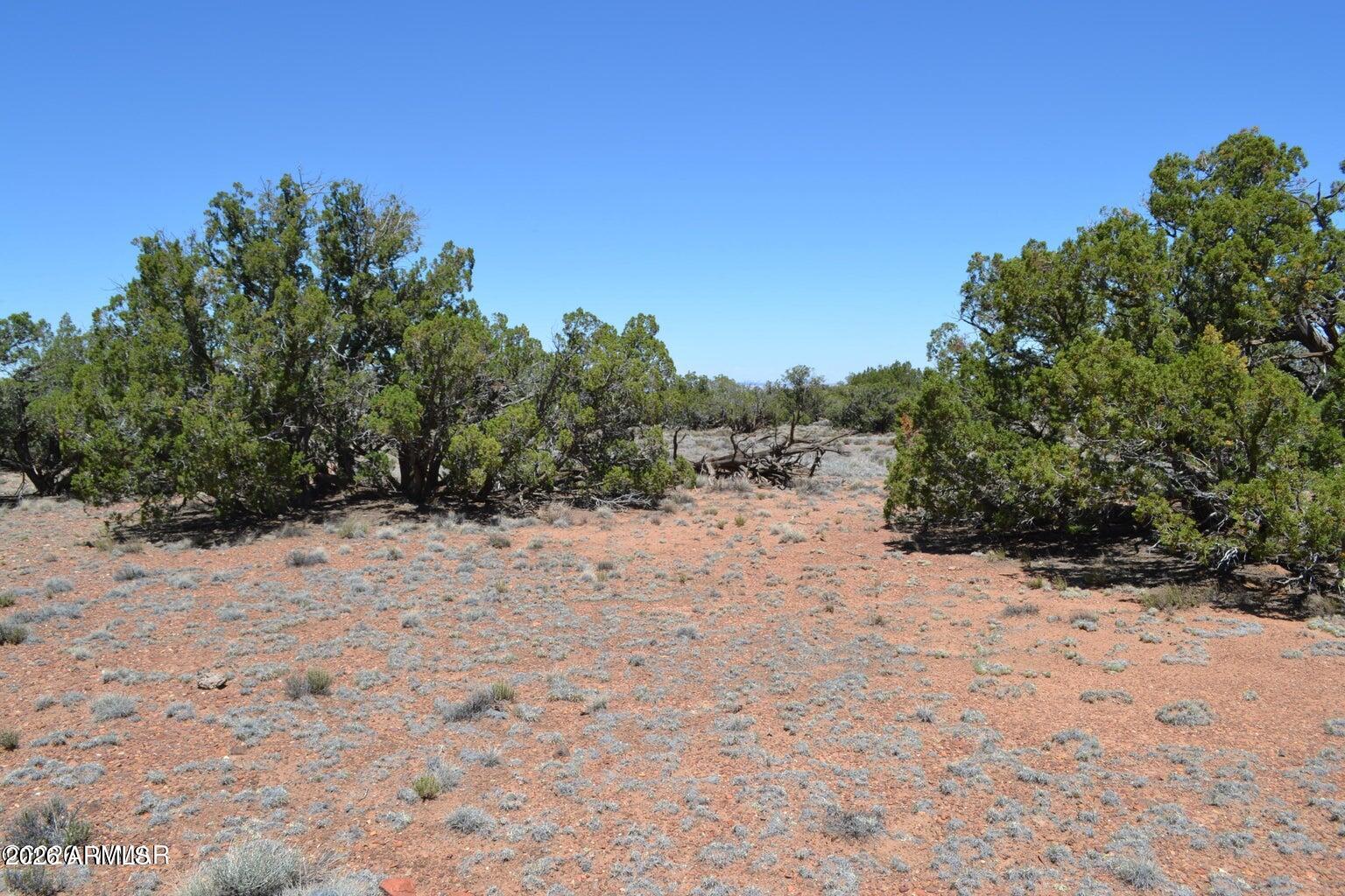 LAST MESA RANCH - Land