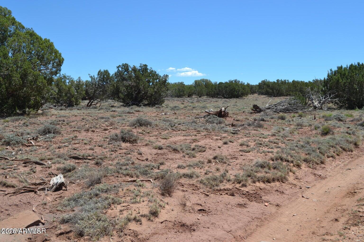 LAST MESA RANCH - Land