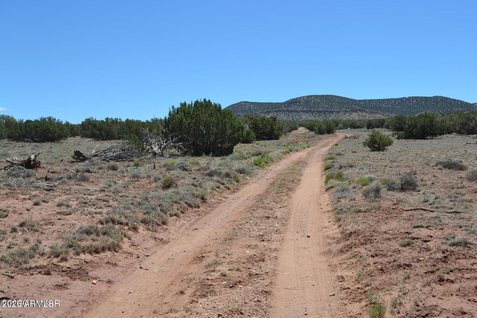 Nearly 80 acres of heavily treed land with beautiful elevated homesites offering sweeping views and exceptional privacy. Remote and peaceful, this property is perfect for those seeking quiet country living and dark night skies at approximately 5,600 feet in elevation. Located about 30 minutes from Snowflake, enjoy all four seasons with mild summers, cool evening temperatures, and gentle winters with just enough snowfall to enjoy without the harsh conditions. It is best to follow my directions out there. The County has different road numbers than google maps.
