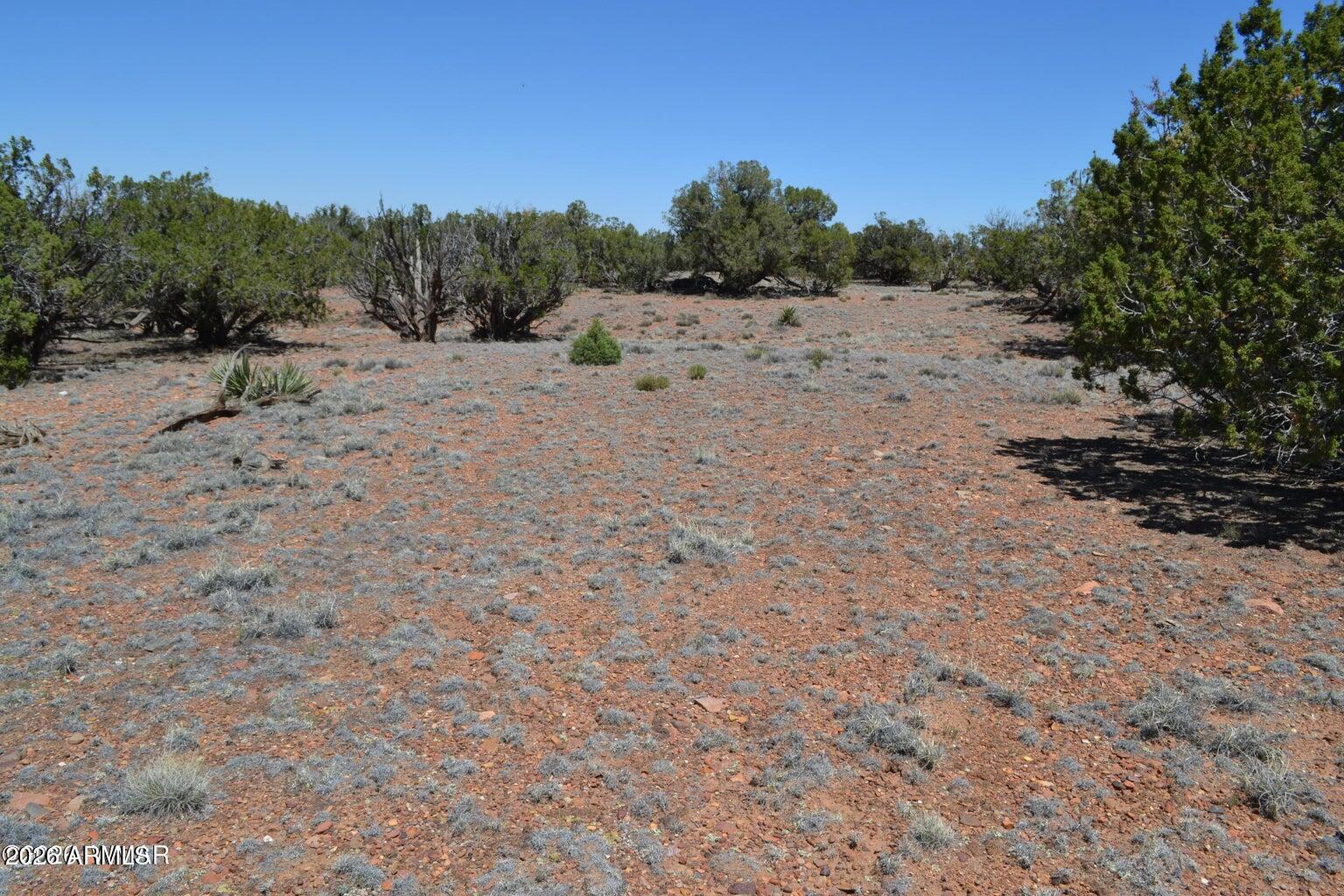 LAST MESA RANCH - Land
