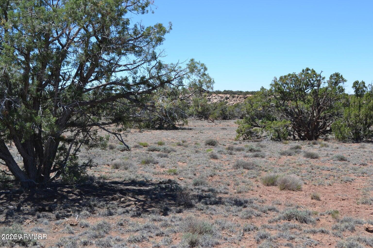 LAST MESA RANCH - Land