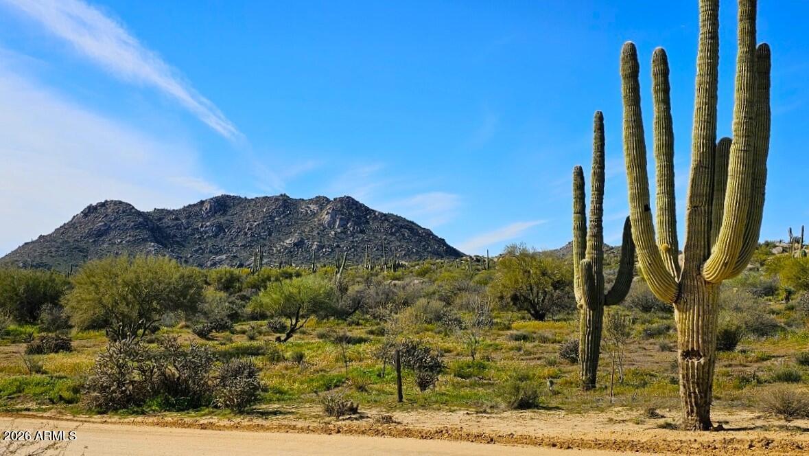 Rio Verde Foothills - Land