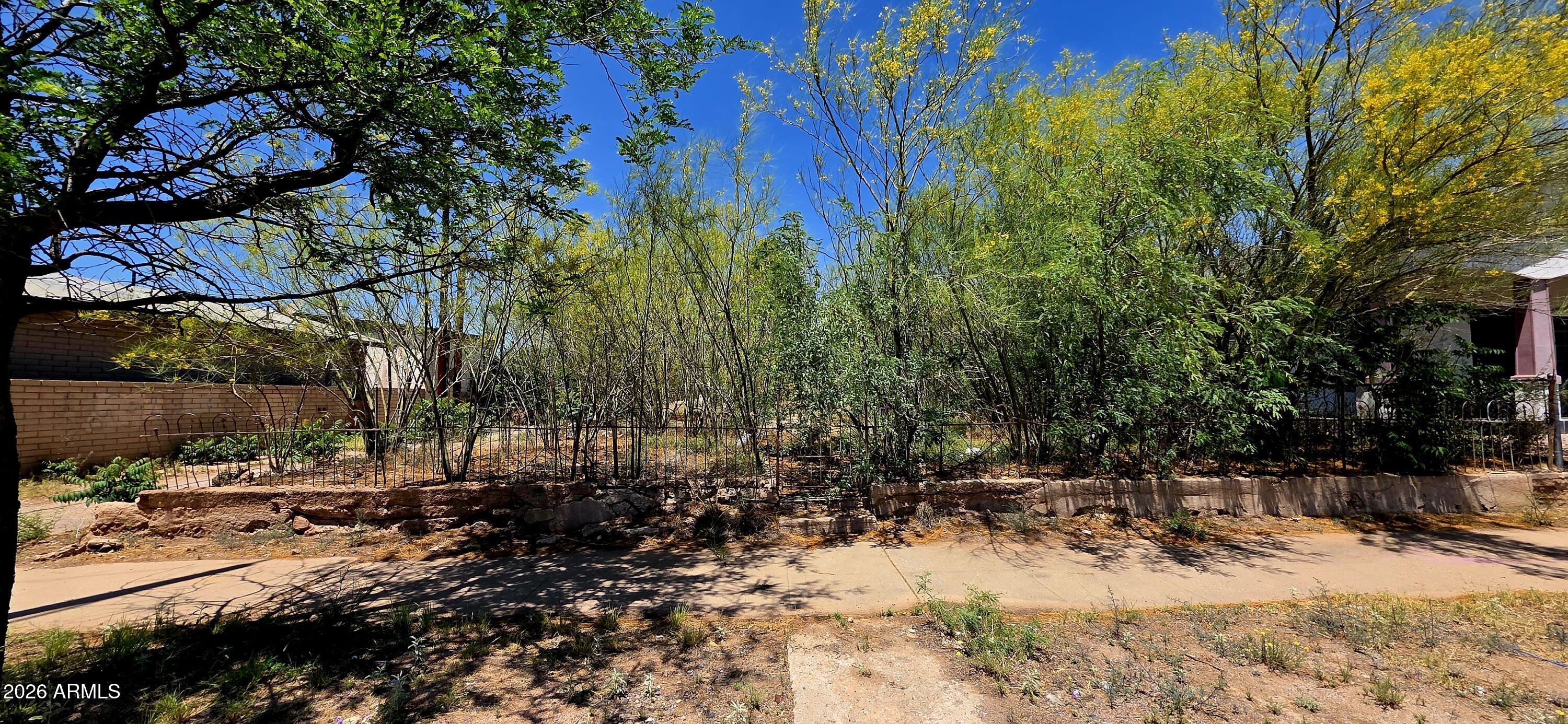 .163 acres on a quiet residential street. Alley access on the side and rear of this parcel in addition to paved road in the front. Perfect place to build your home! Buyer to verify all facts and figures.