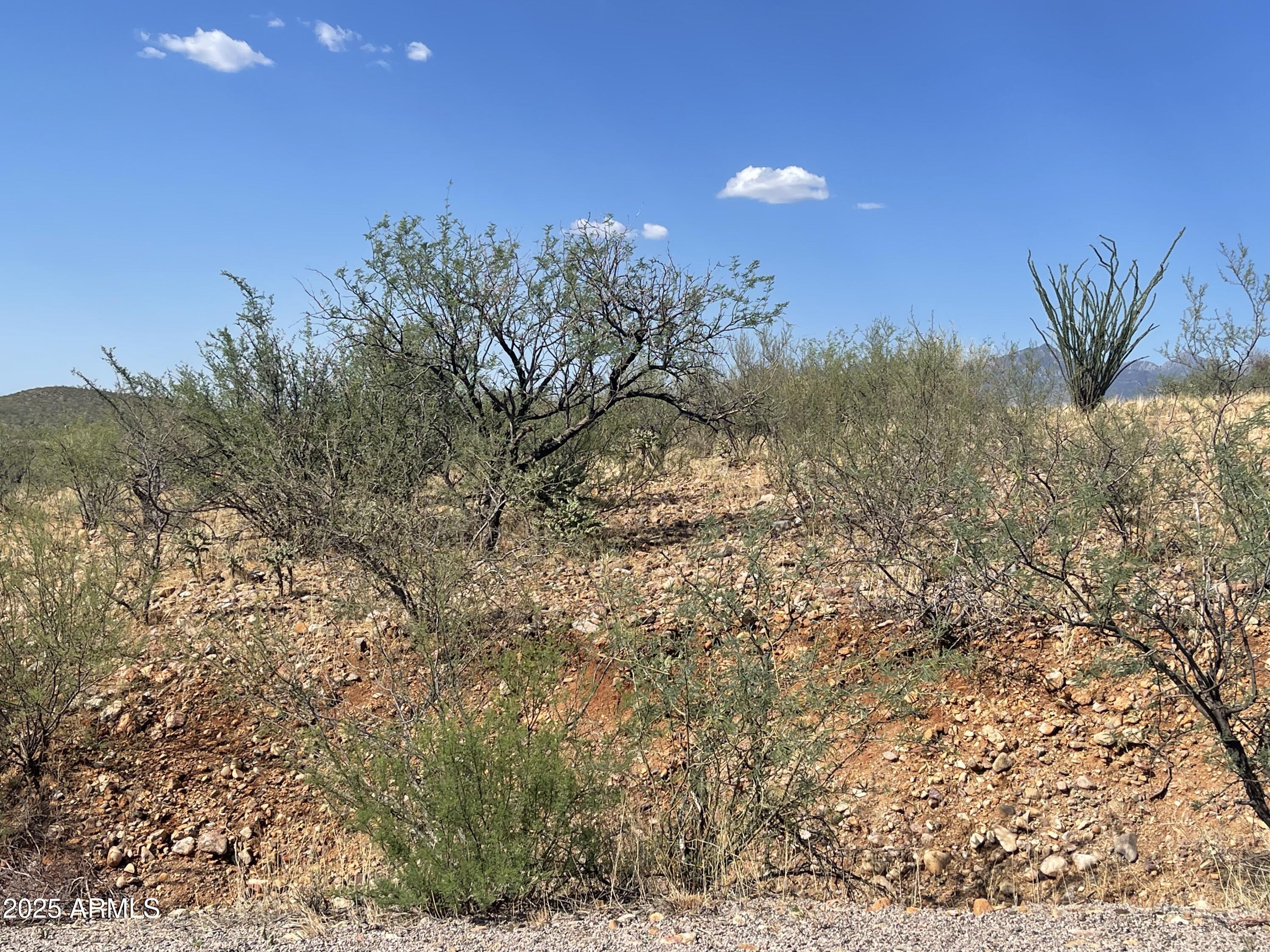 RIO RICO ESTATES 16 - Land