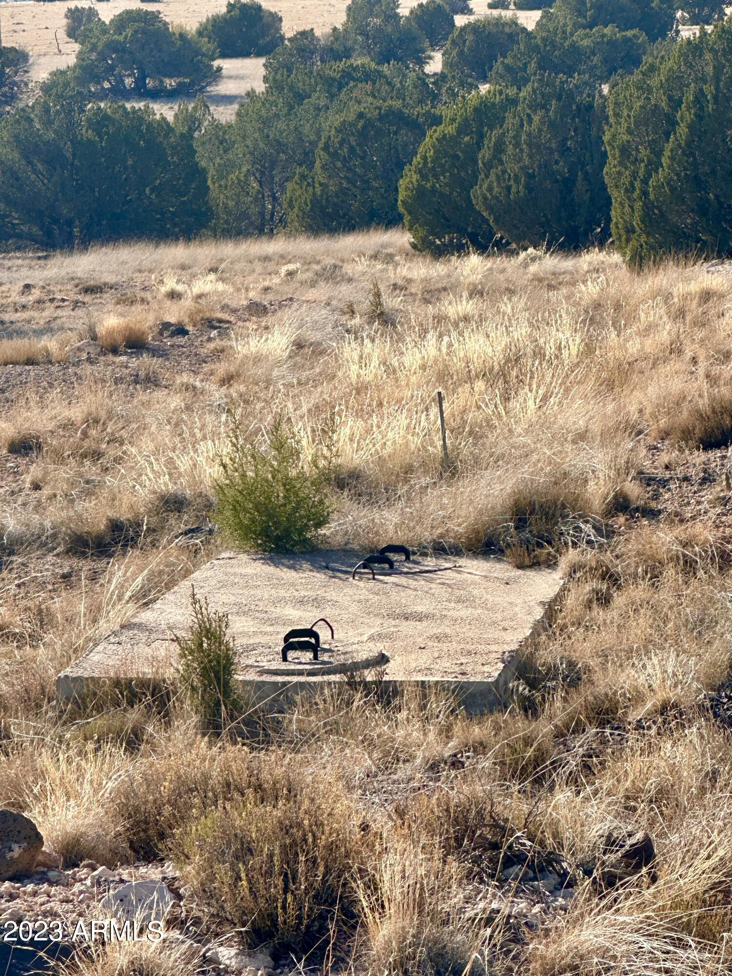Show Low Pines - Land