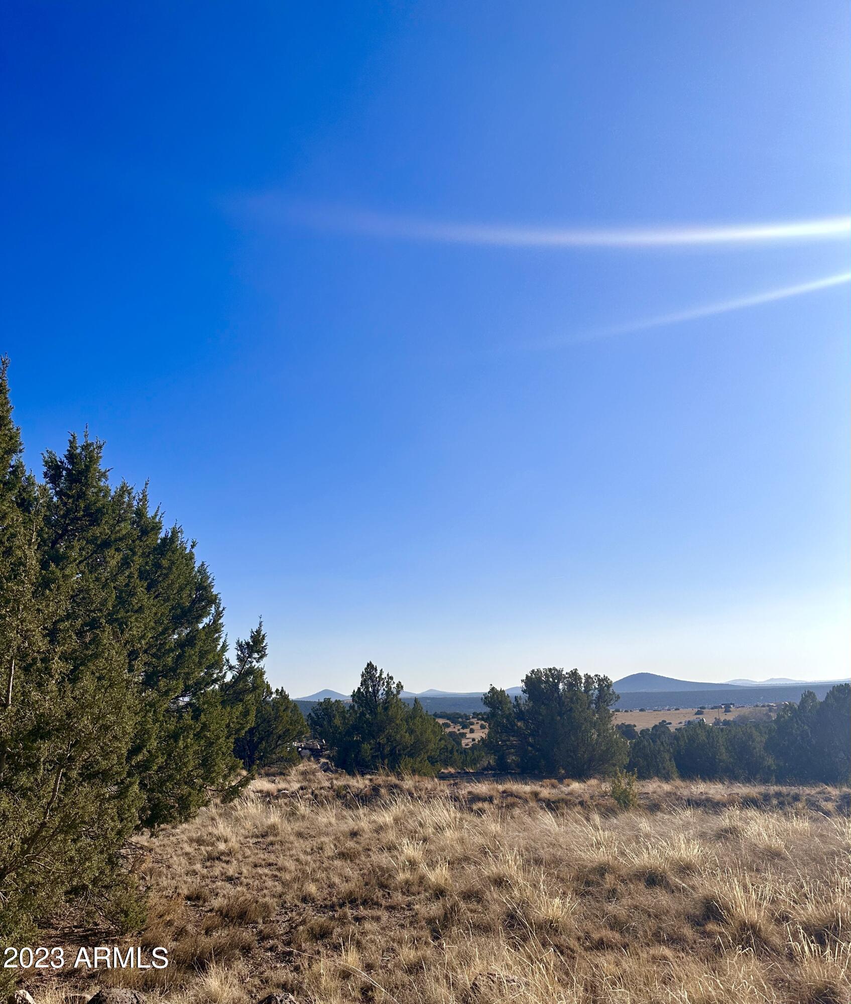 Show Low Pines - Land