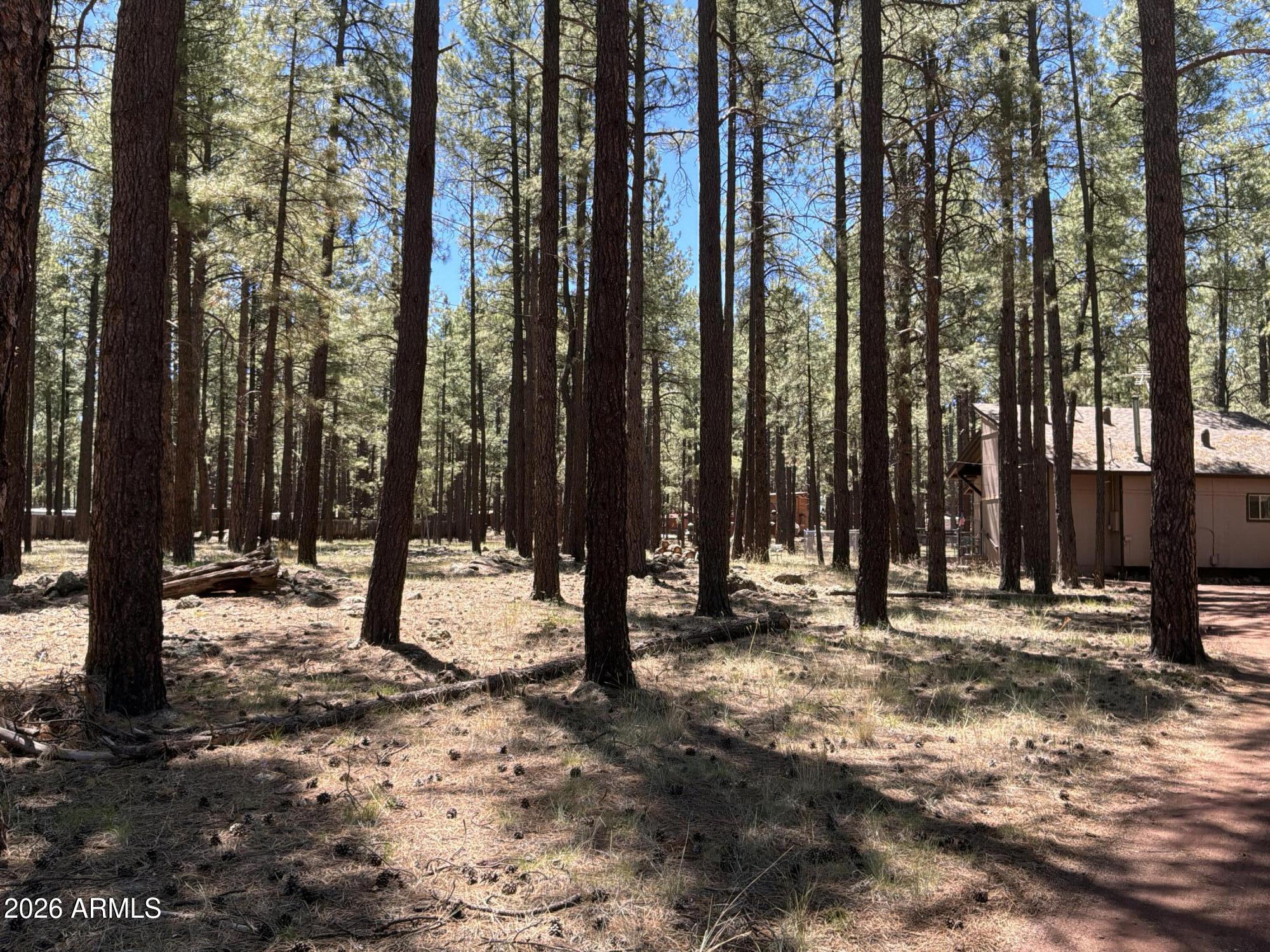 SHERWOOD FOREST ESTATES - Residential