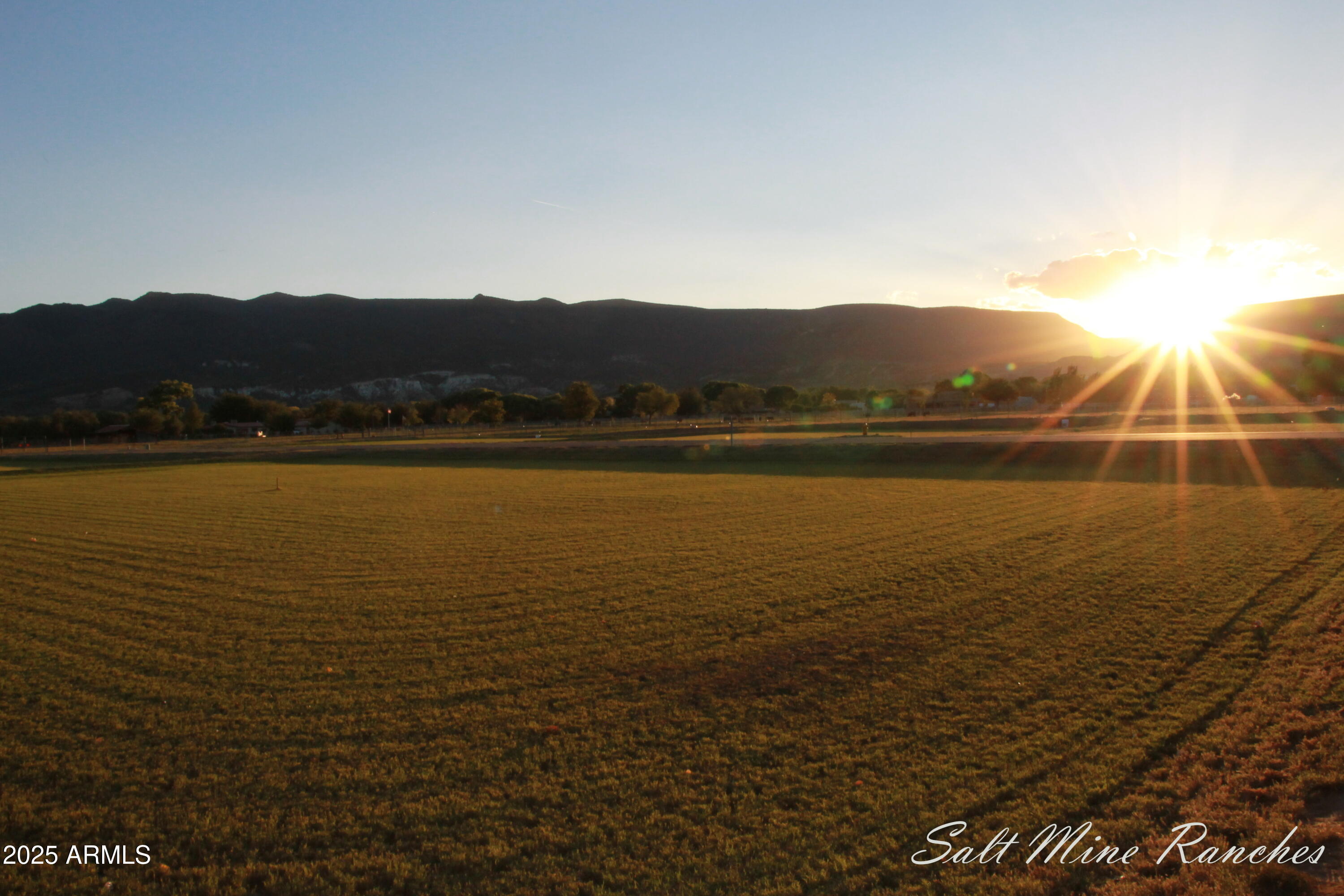 SALT MINE RANCHES - Residential
