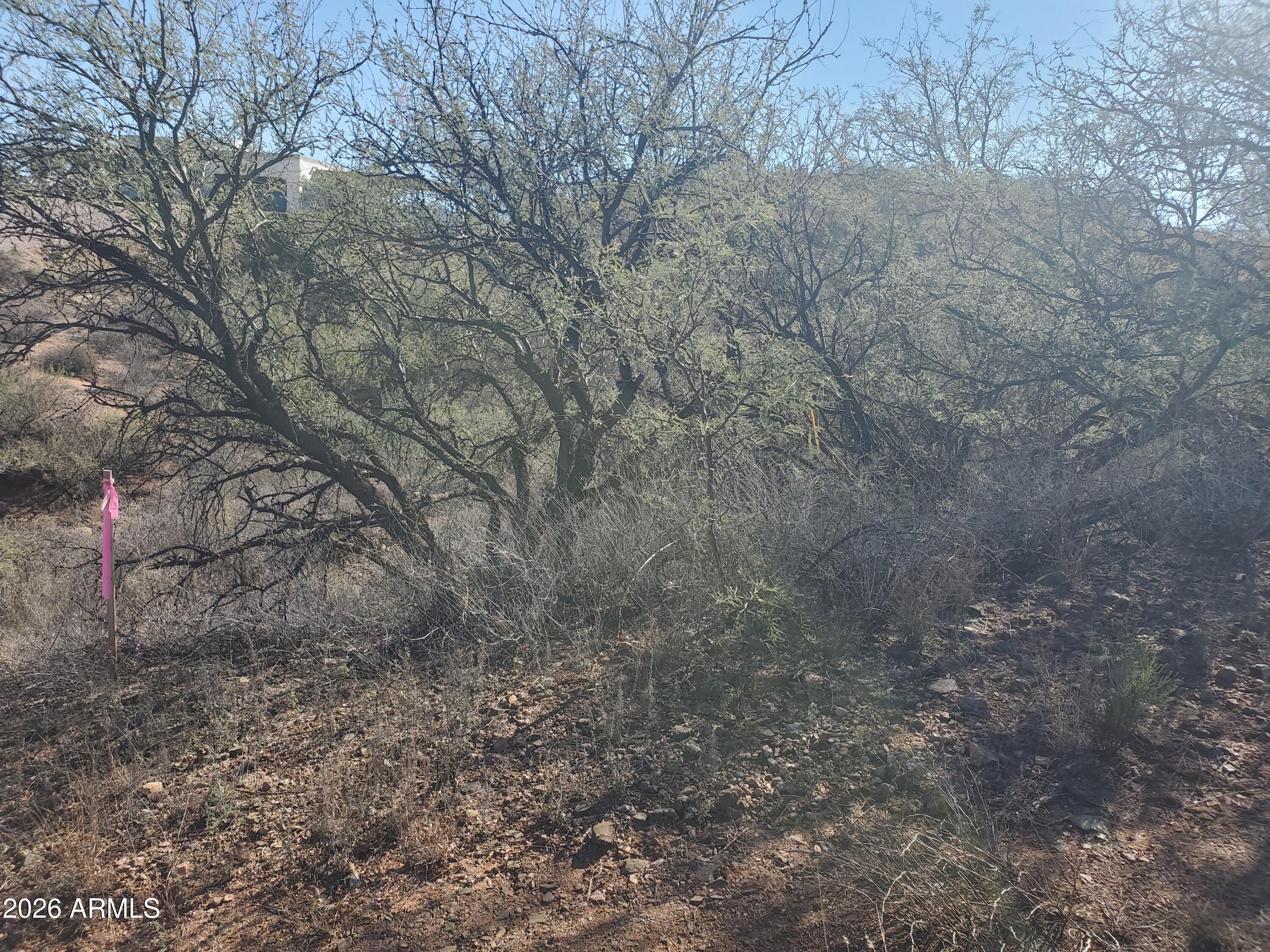 Over an acre of land with plenty of space to build your dream home.  Nestled between two properties in a great area of Rio Rico.  Paved road.  Please see attached documents for Liberty Water verification and Unisource Electric Facilities check.