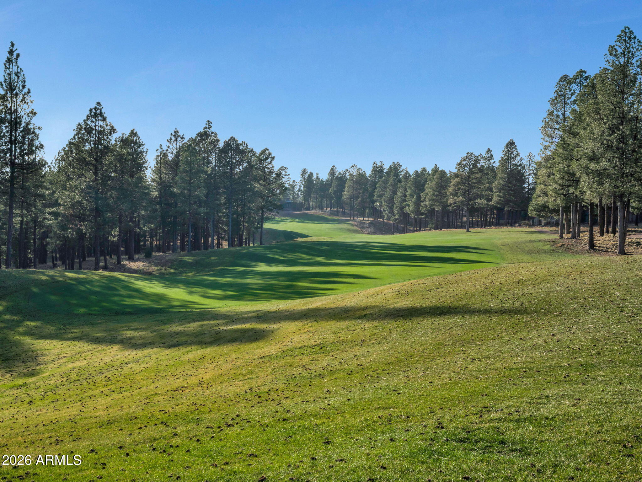 Pine Canyon - Residential