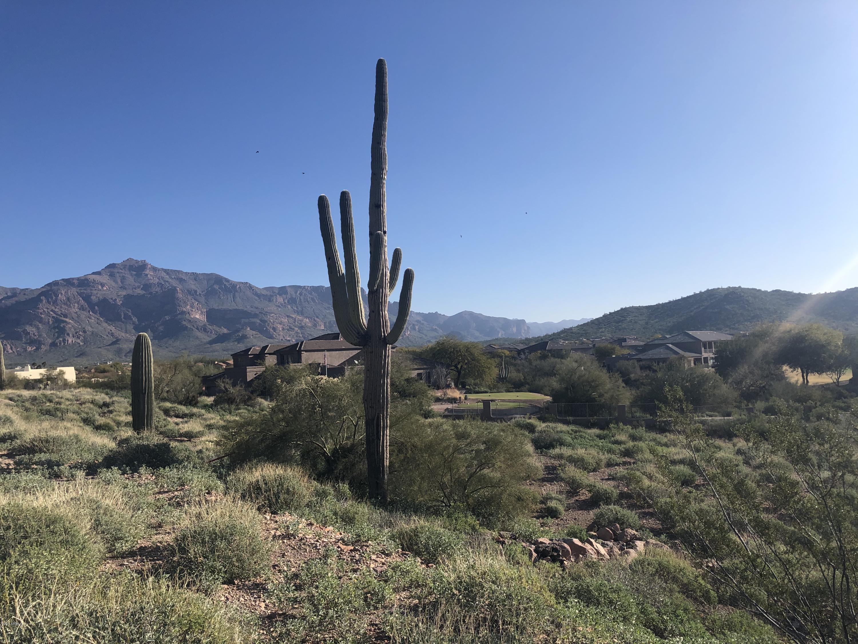 TR A PURPLE SAGE UNIT II & III AT GOLD CANYON EAST Lot 8 - Land