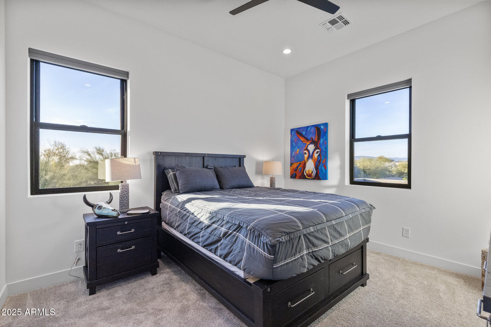RESERVE AT BLACK MOUNTAIN - Residential