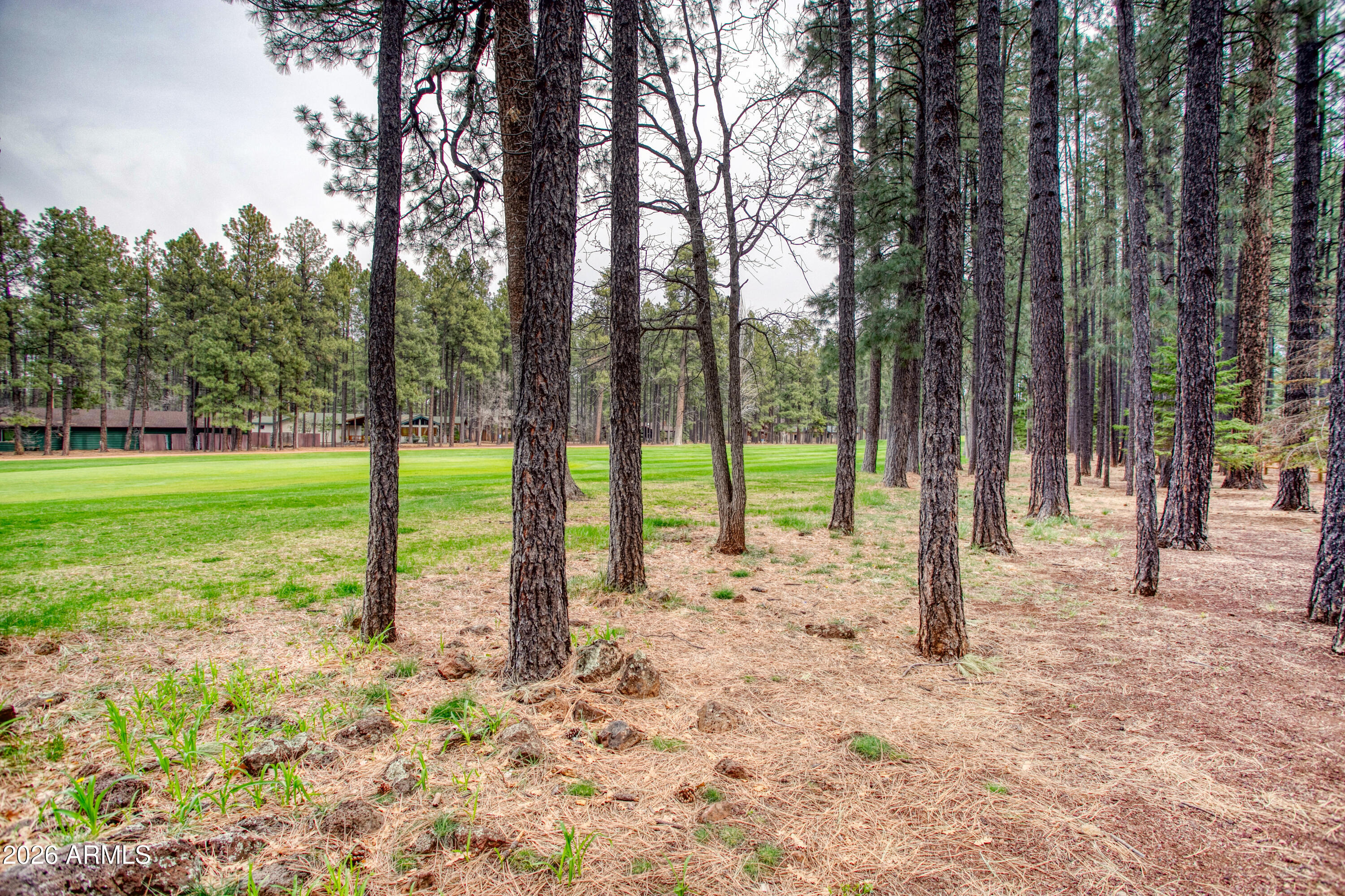 PINETOP COUNTRY CLUB UNIT 2 - Residential