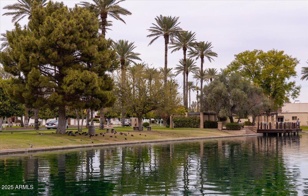 LITCHFIELD PARK VILLAS CONDOMINIUM - Residential