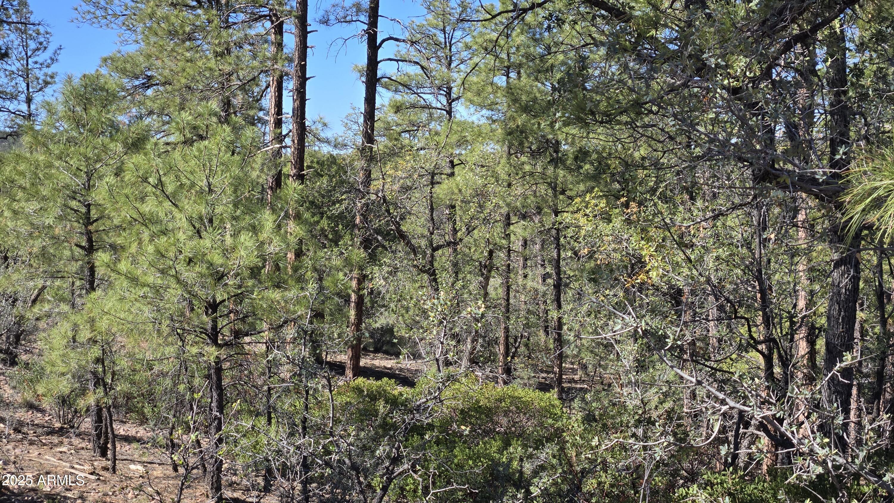 Sierra Pines - Land